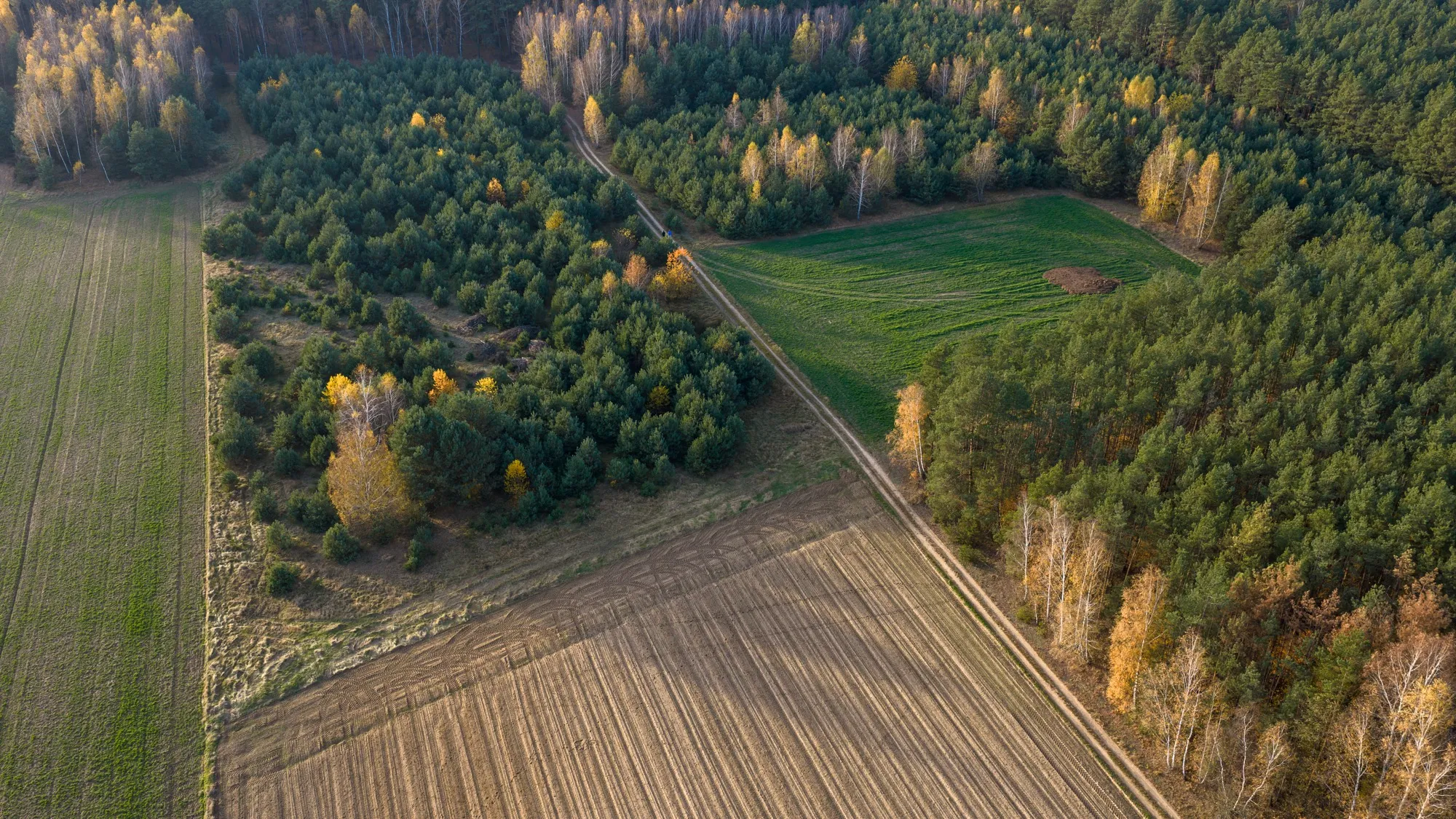 Landscape photograph — Earthly