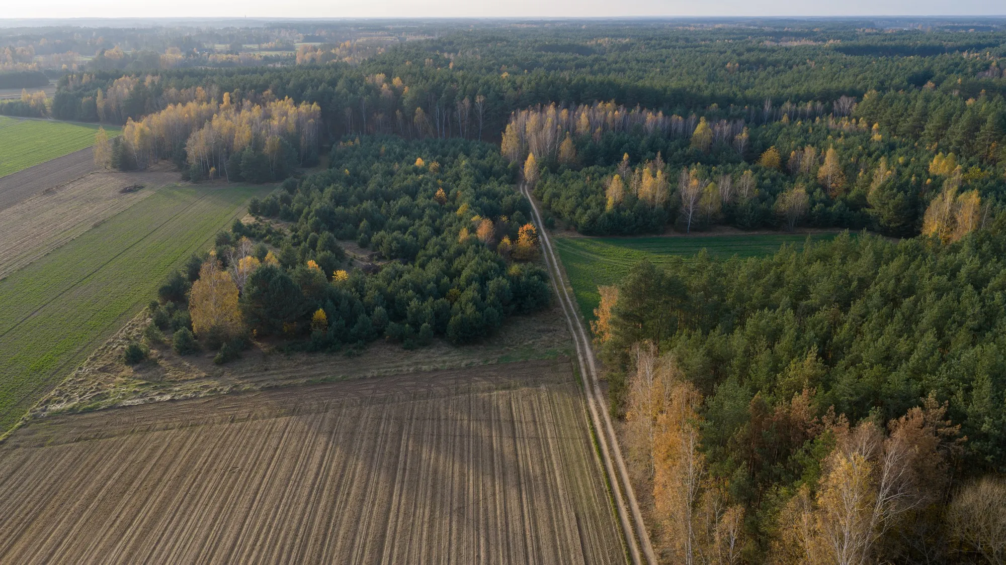 Landscape photograph — Earthly