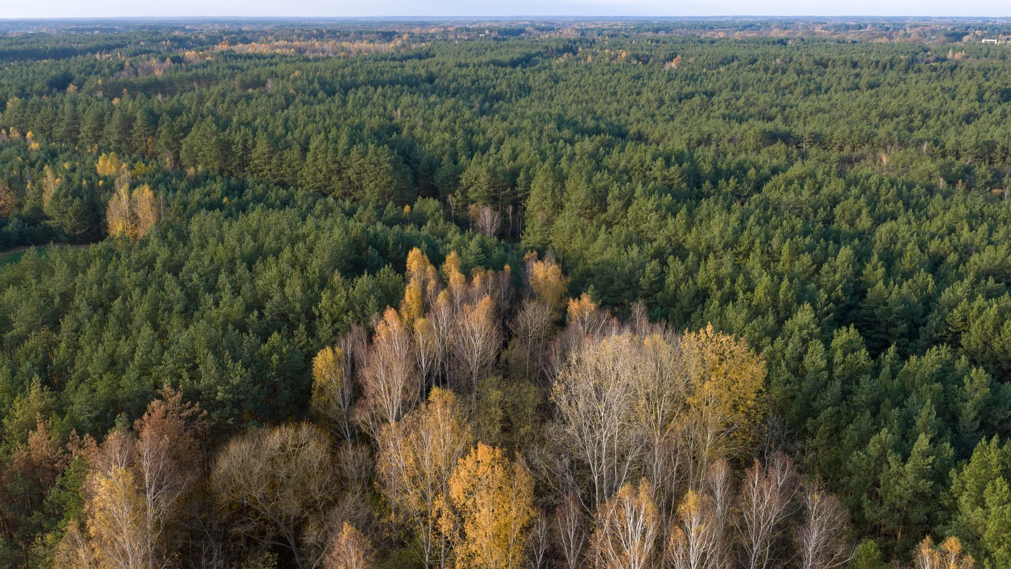 Landscape photograph — Earthly