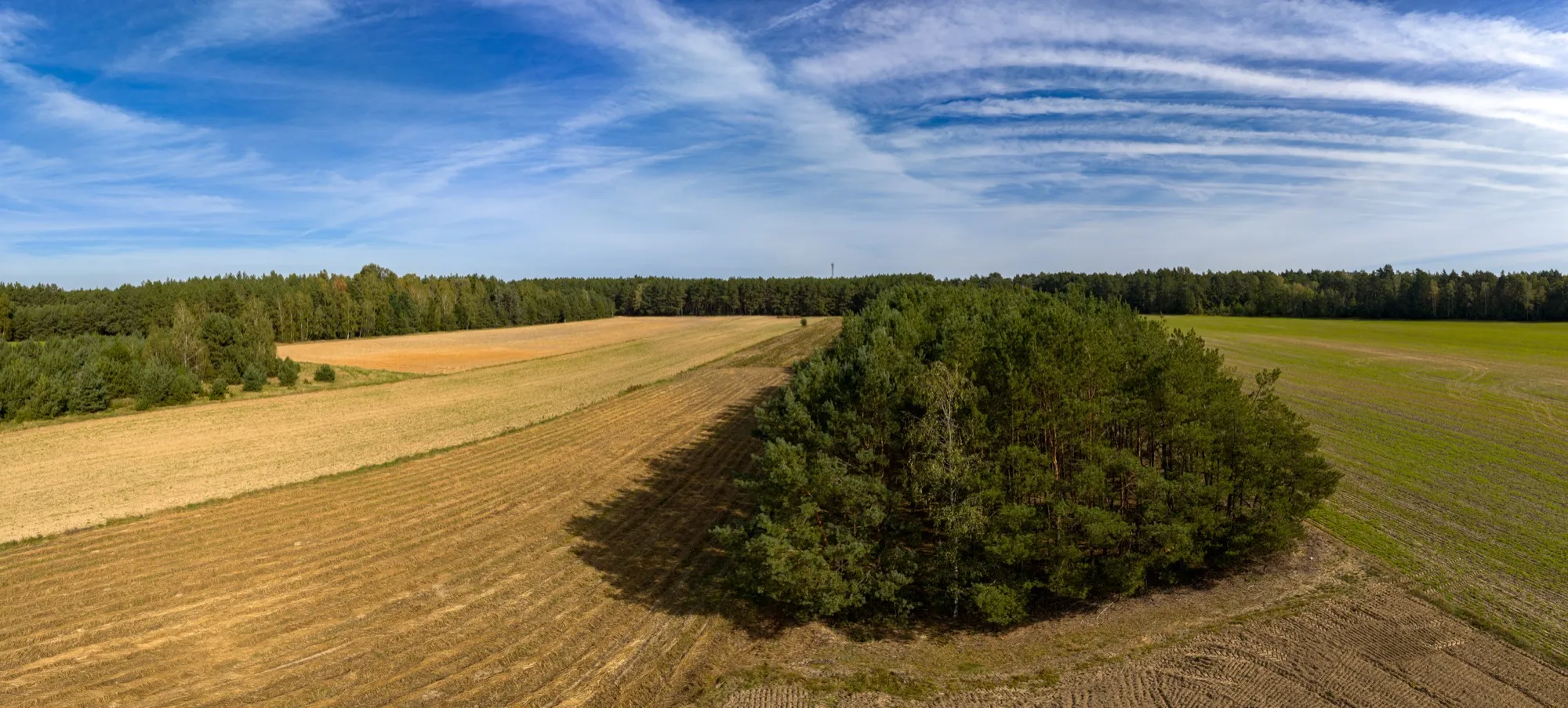 Landscape photograph — Earthly