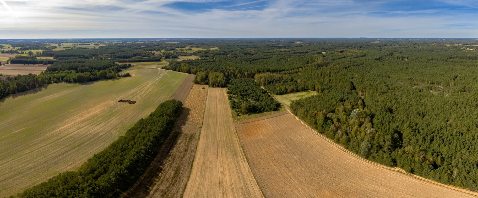 Landscape photograph — Earthly