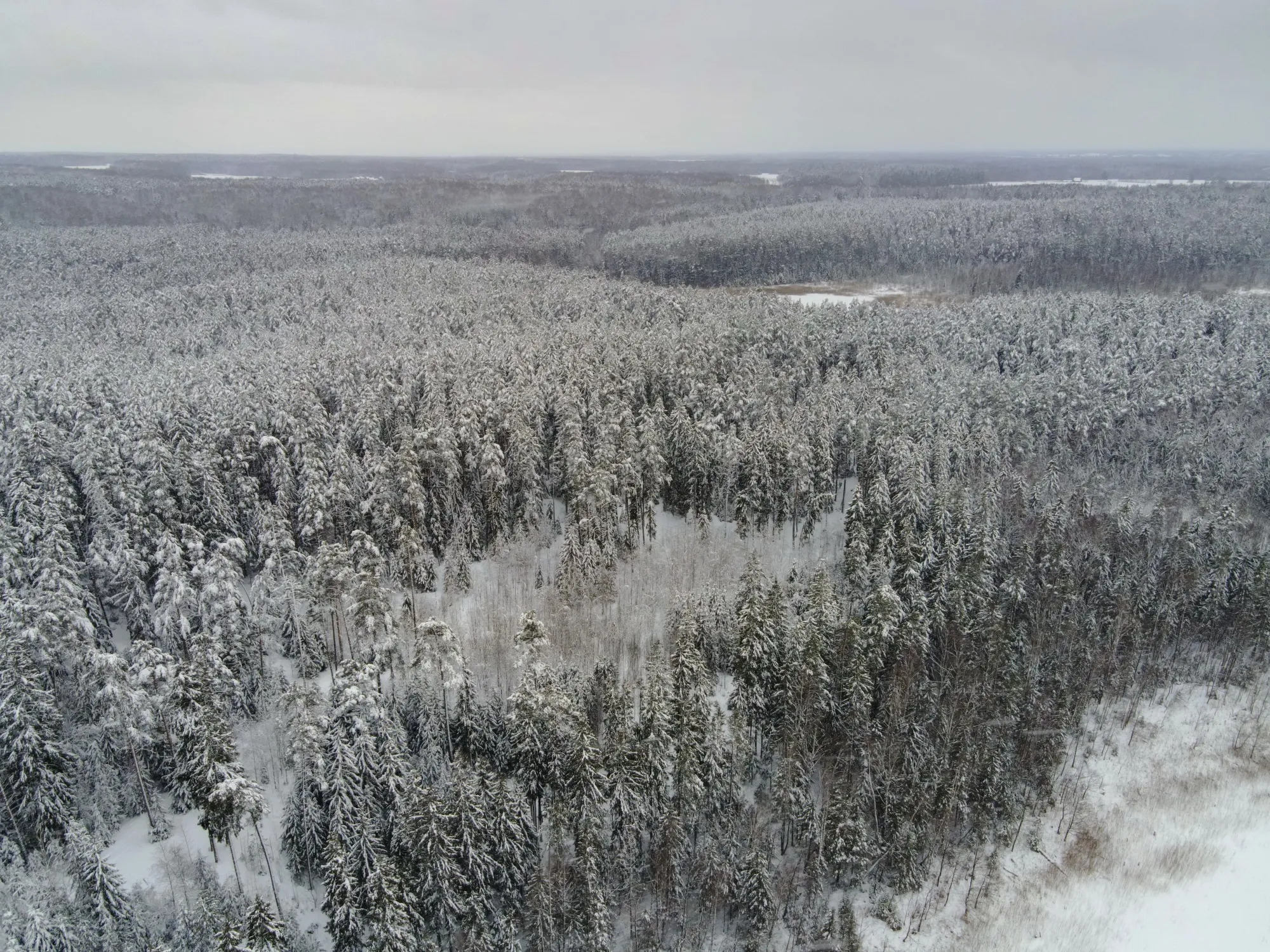 Landscape photograph — Earthly