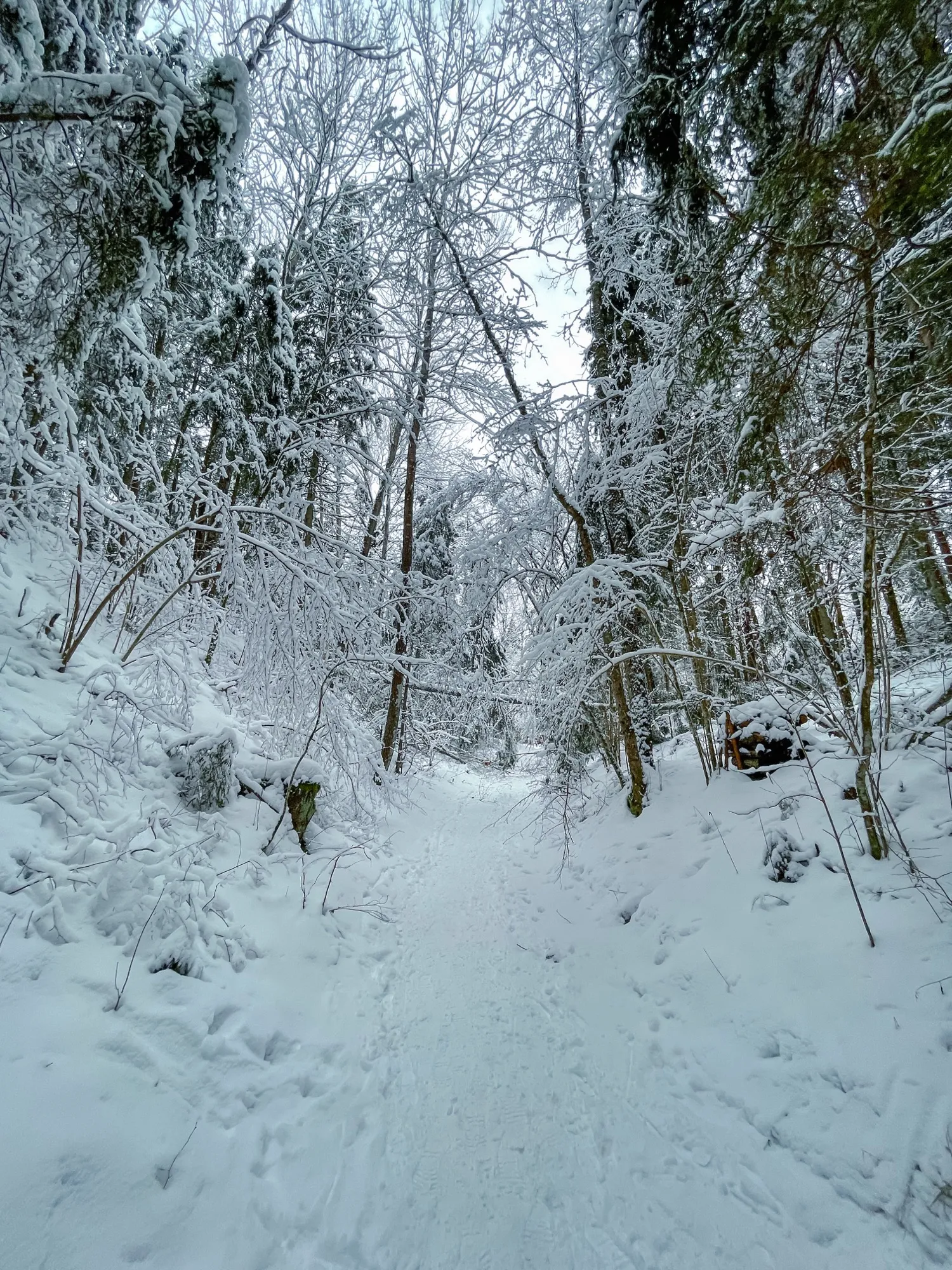 Landscape photograph — Earthly