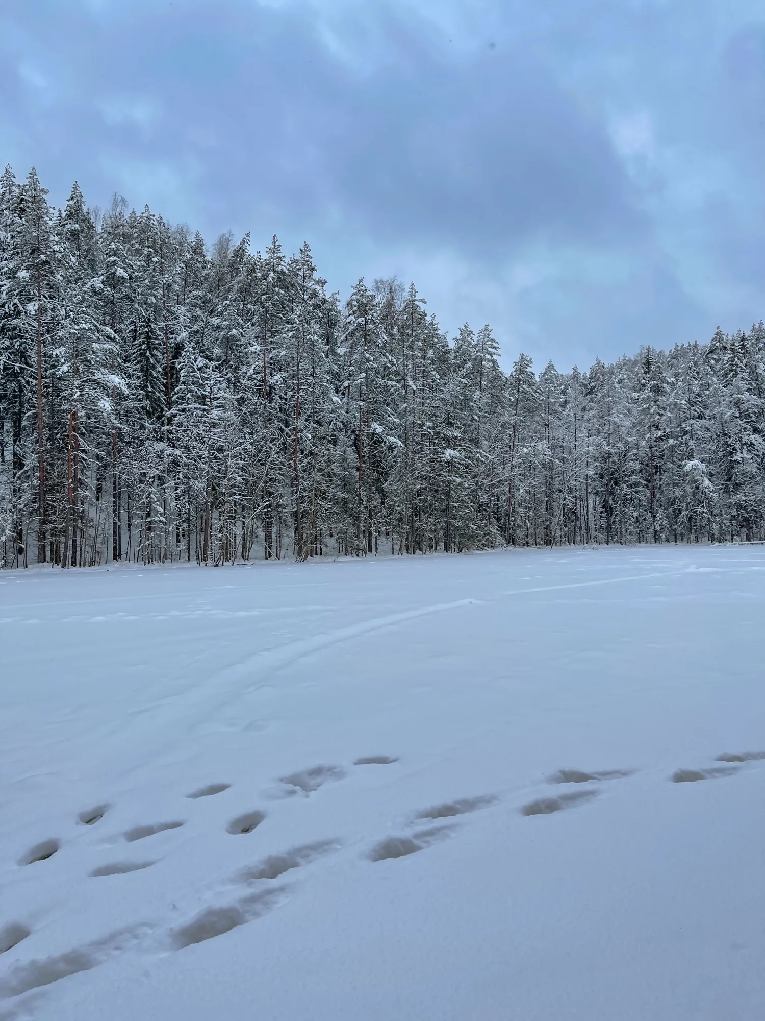 Landscape photograph — Earthly