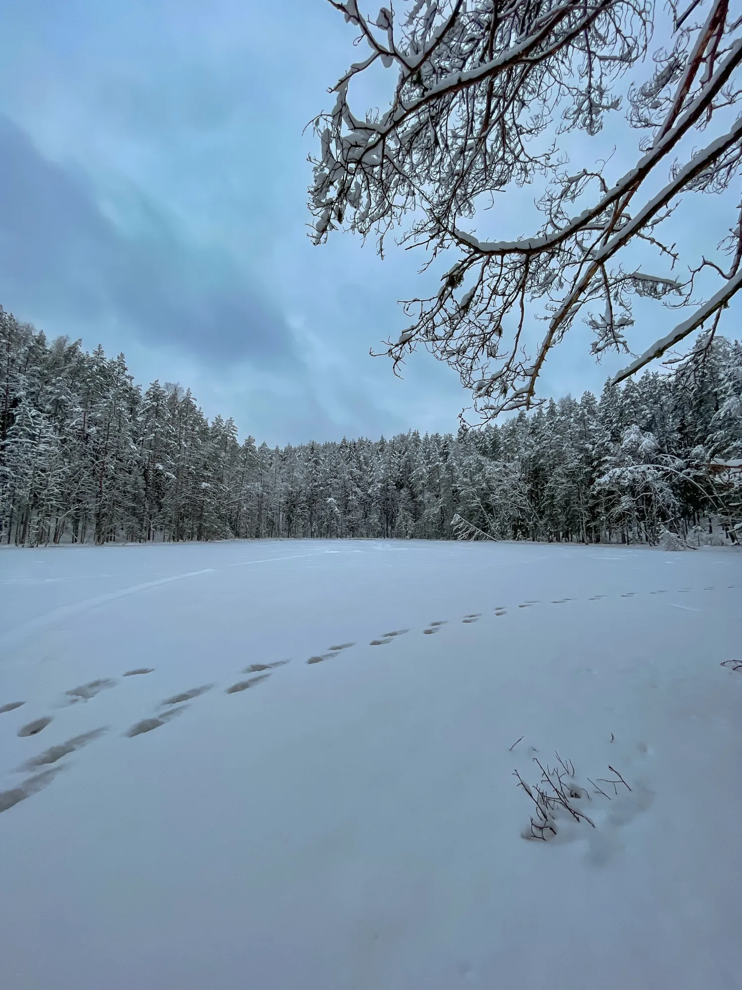 Landscape photograph — Earthly