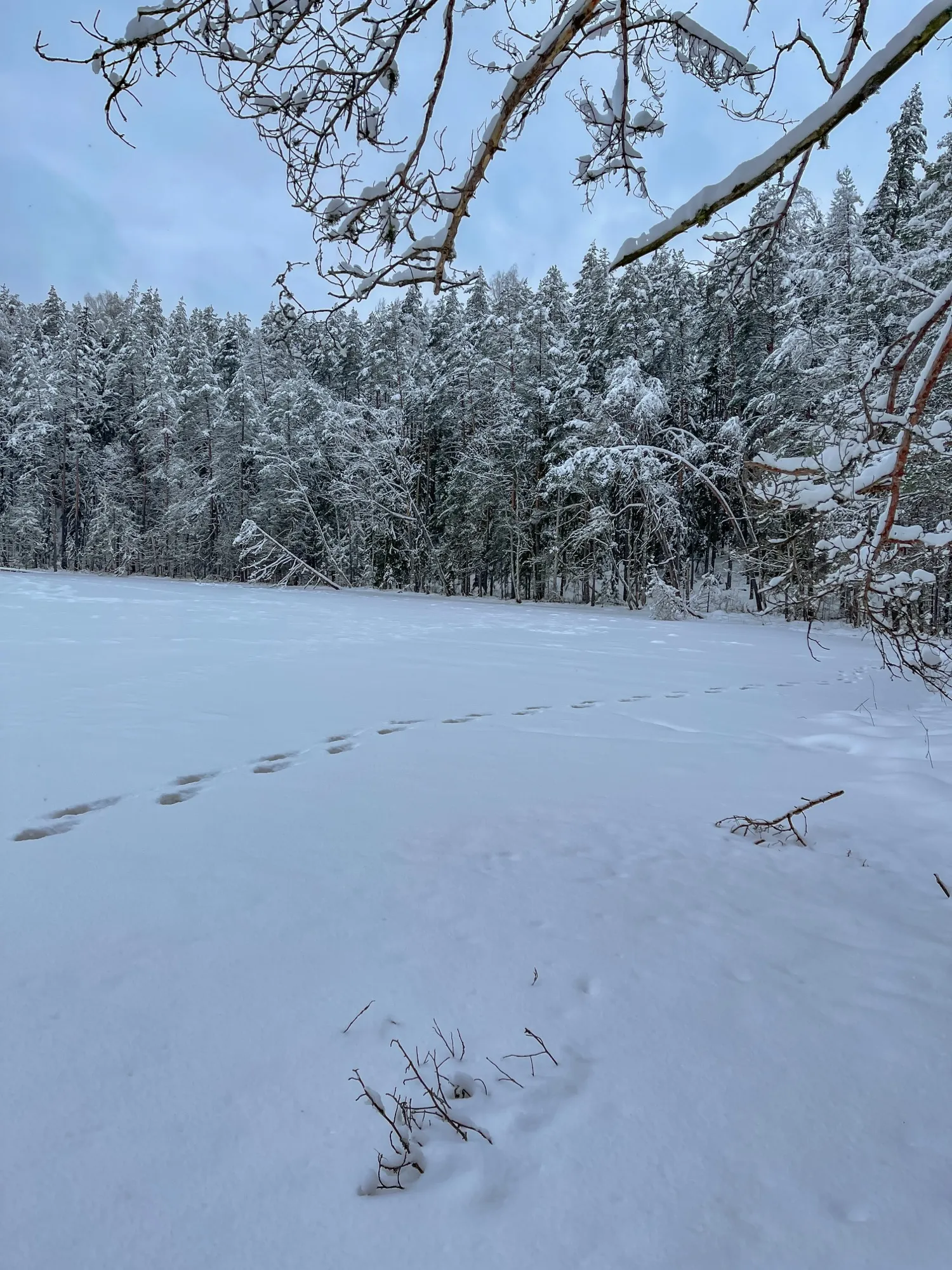 Landscape photograph — Earthly