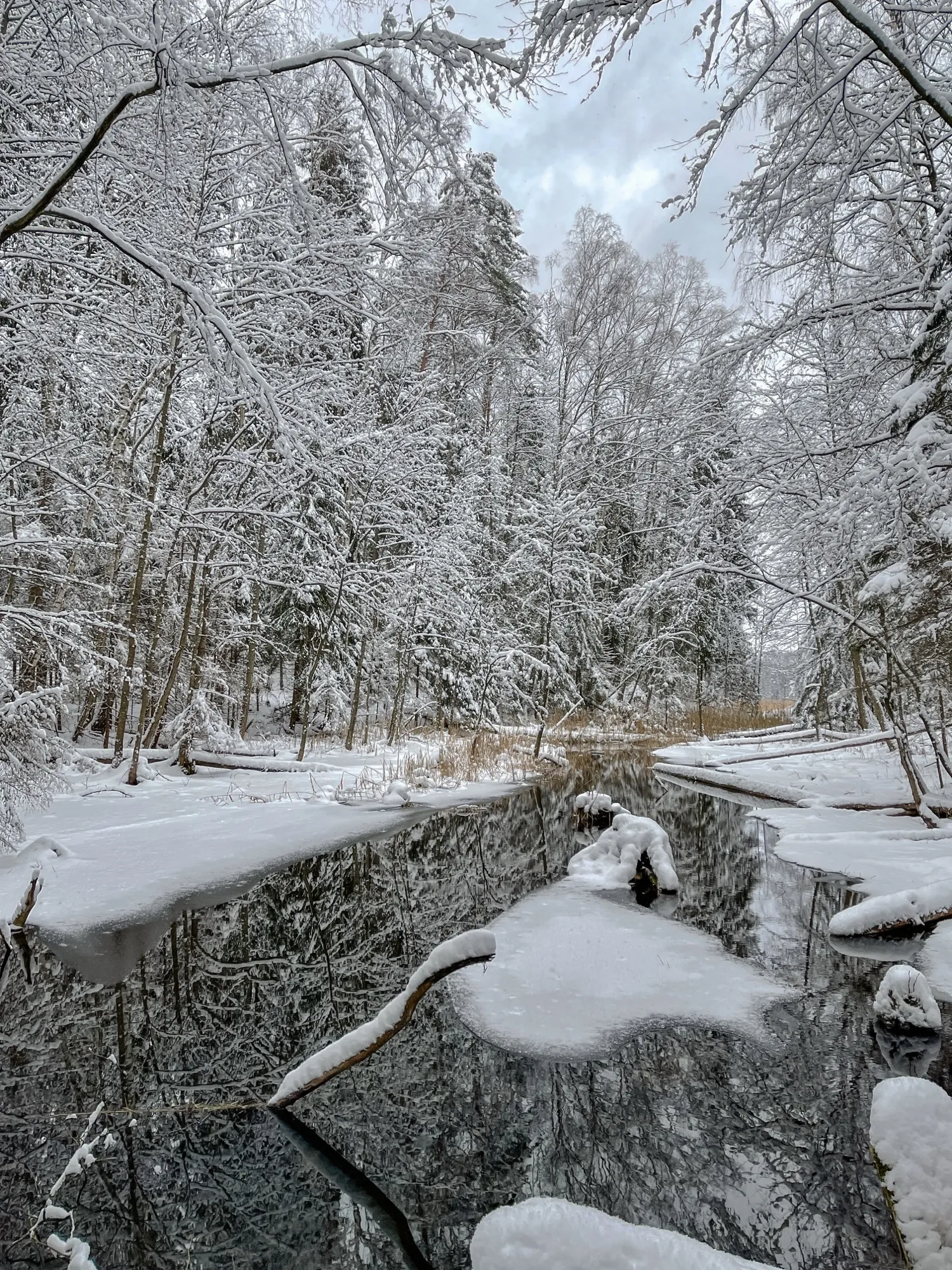 Landscape photograph — Earthly