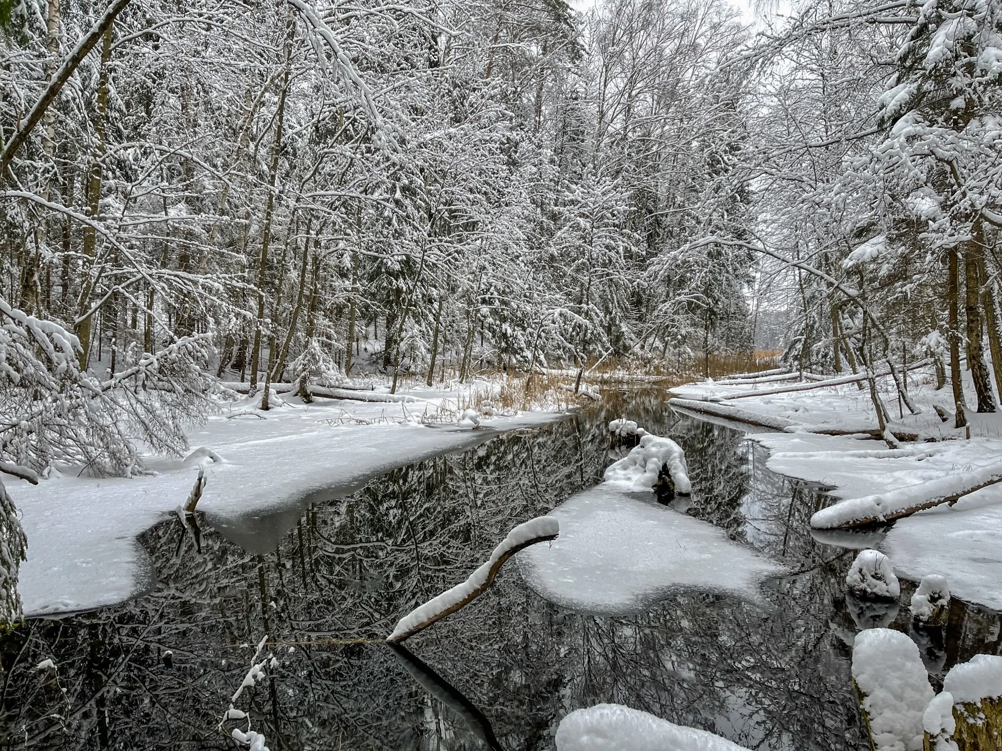 Landscape photograph — Earthly