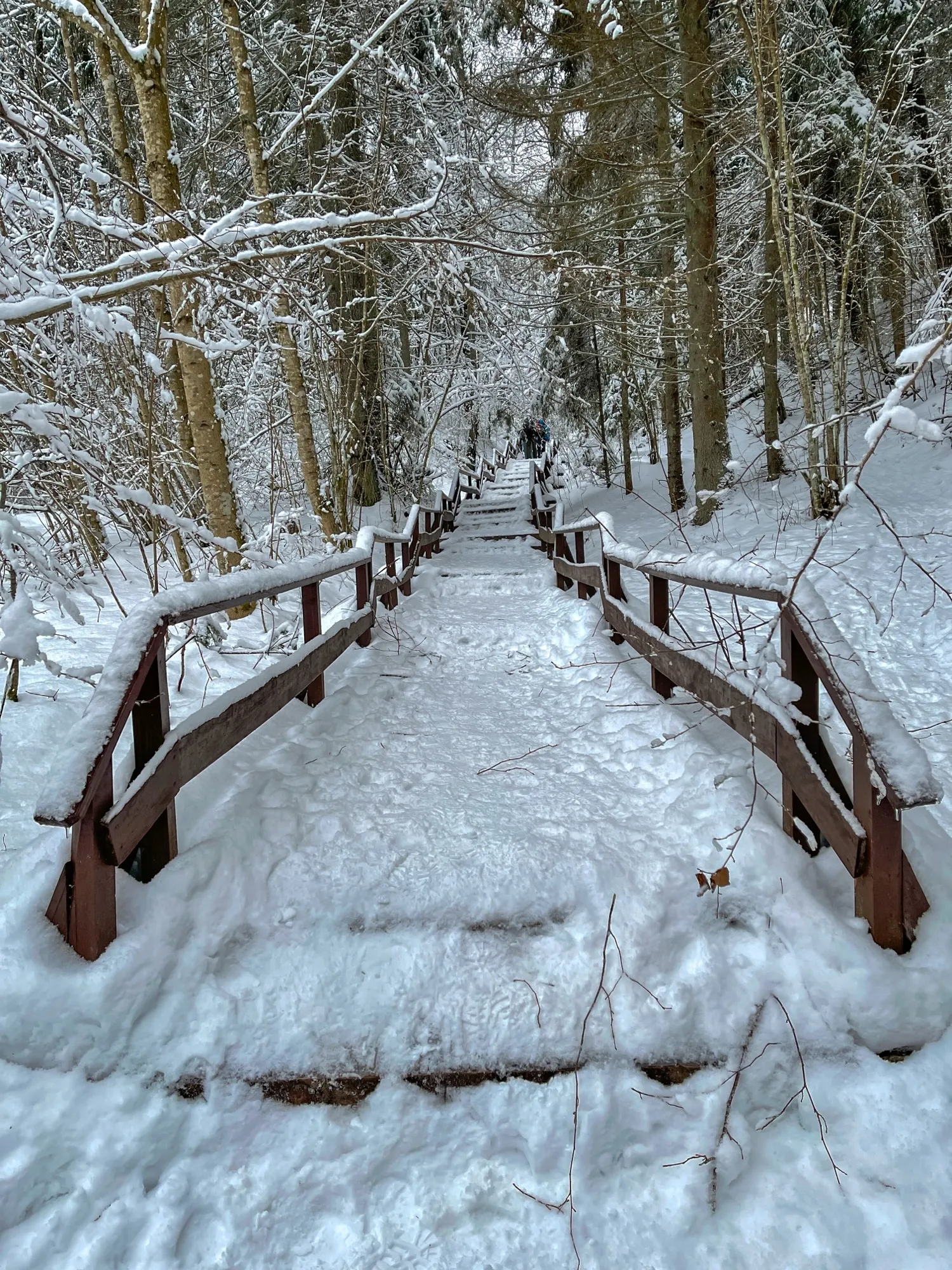Landscape photograph — Earthly