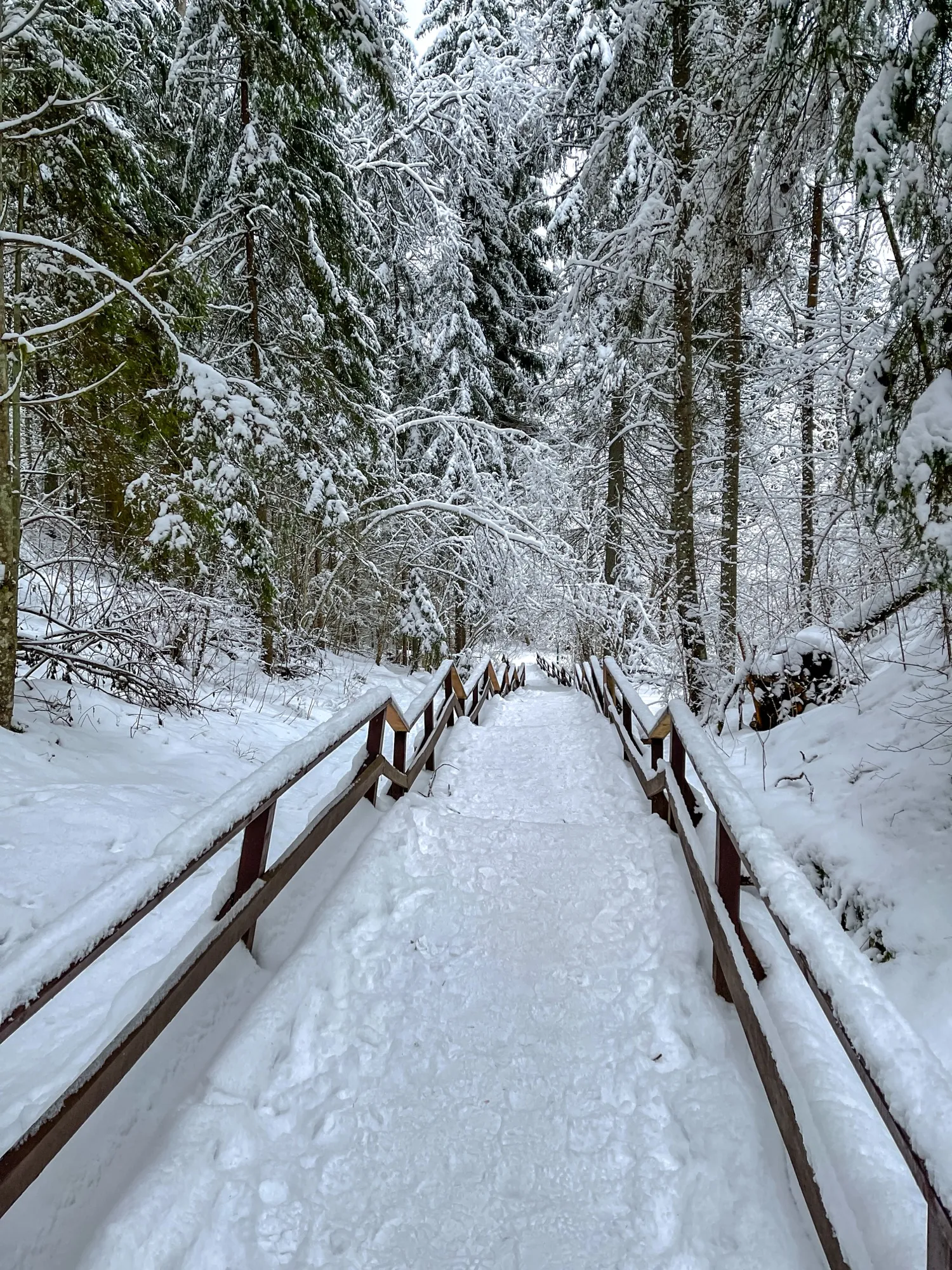 Landscape photograph — Earthly