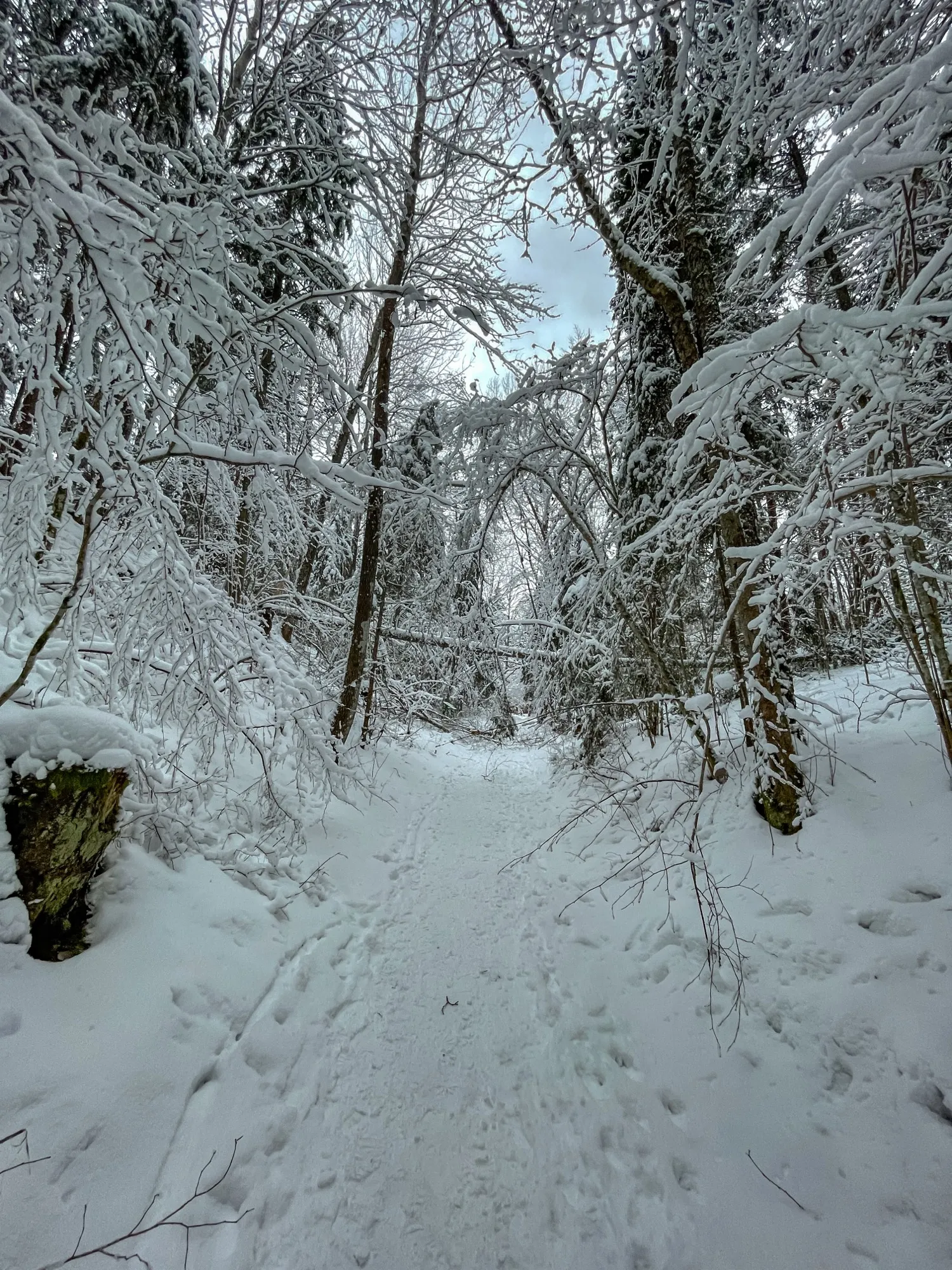 Landscape photograph — Earthly