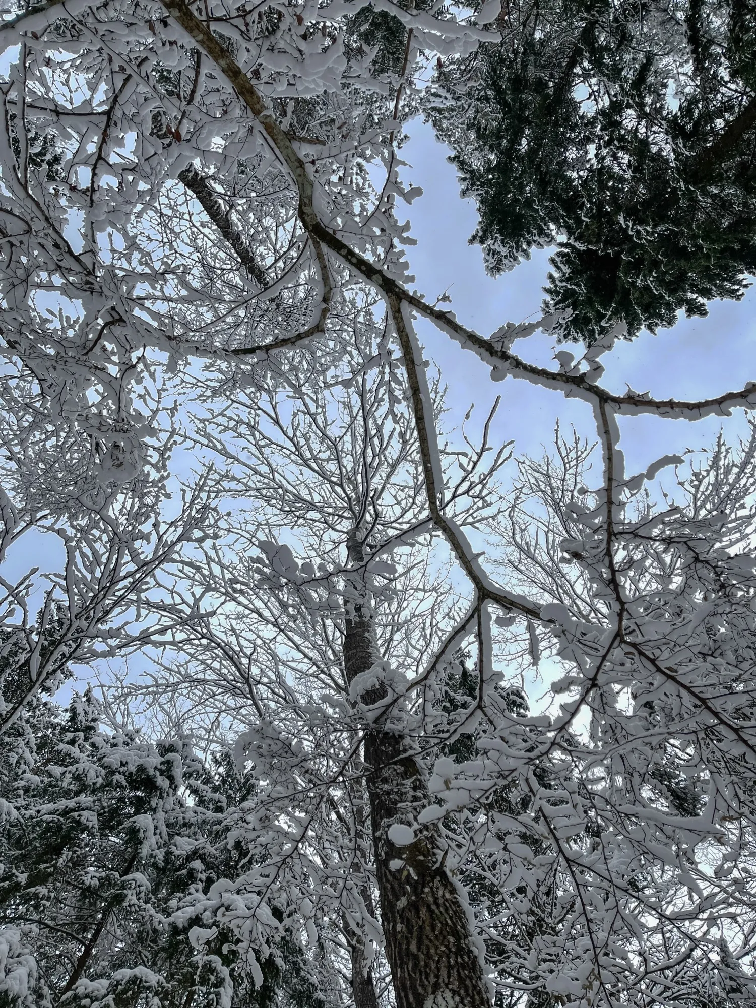 Landscape photograph — Earthly