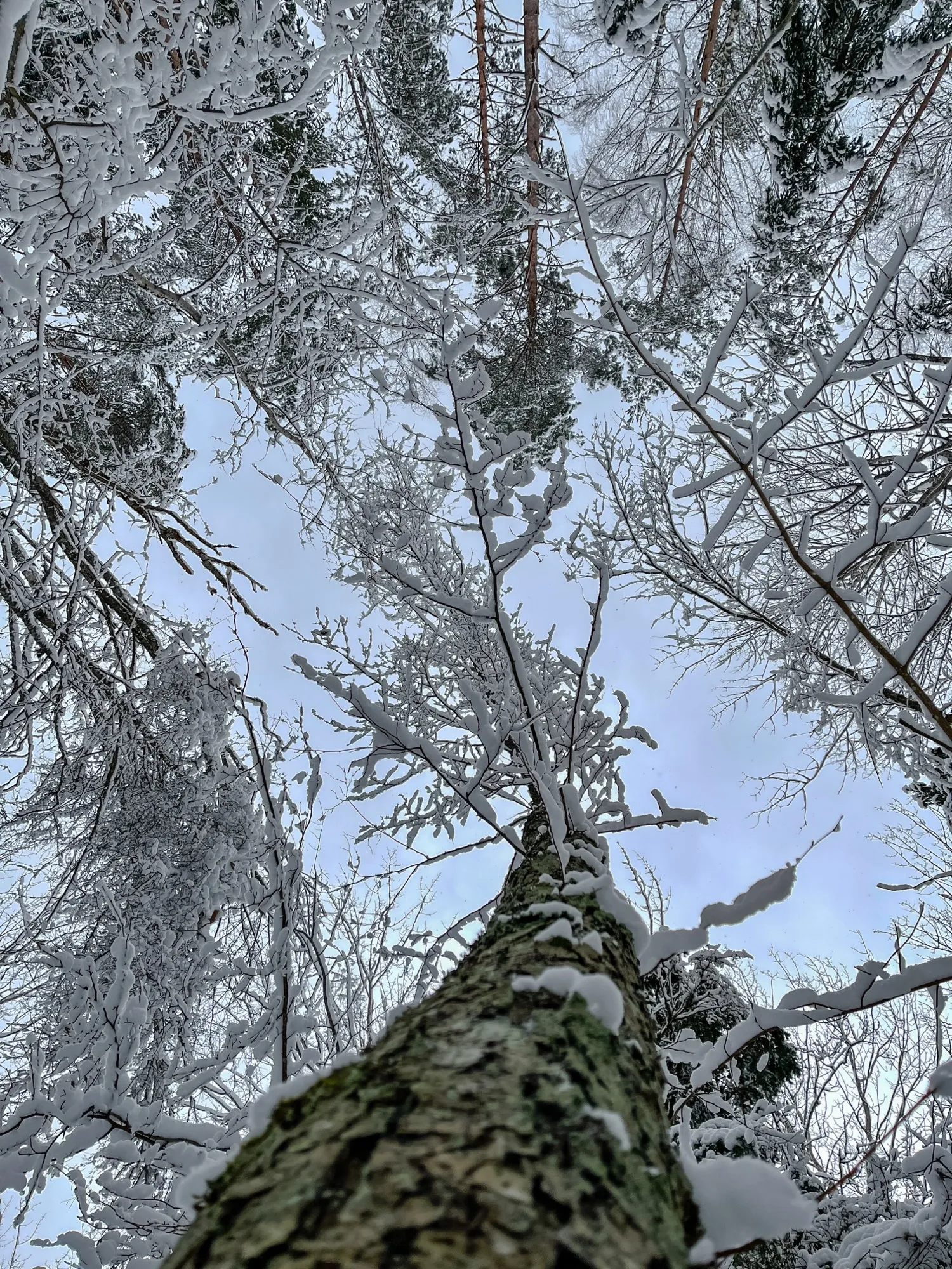 Landscape photograph — Earthly