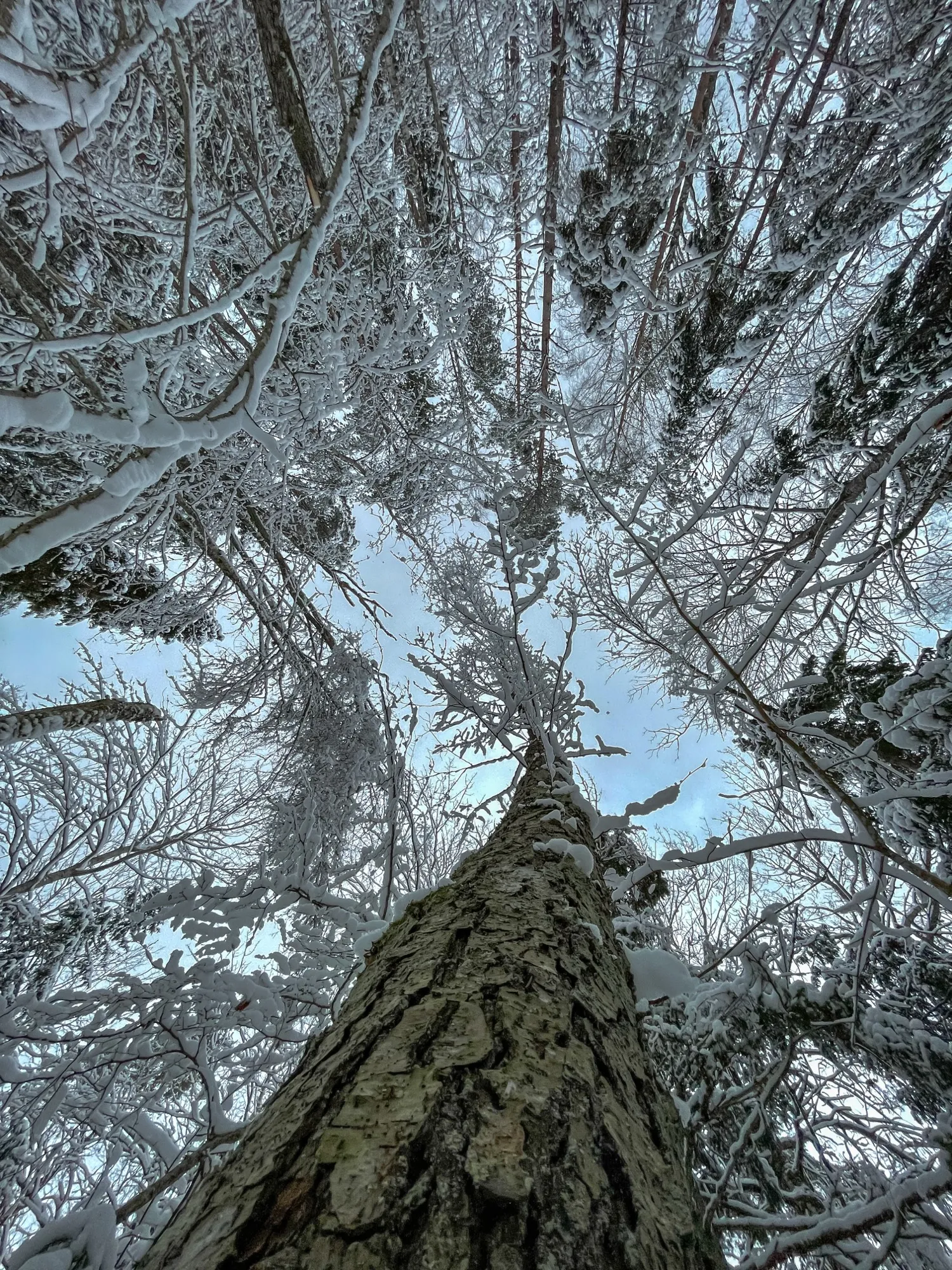 Landscape photograph — Earthly