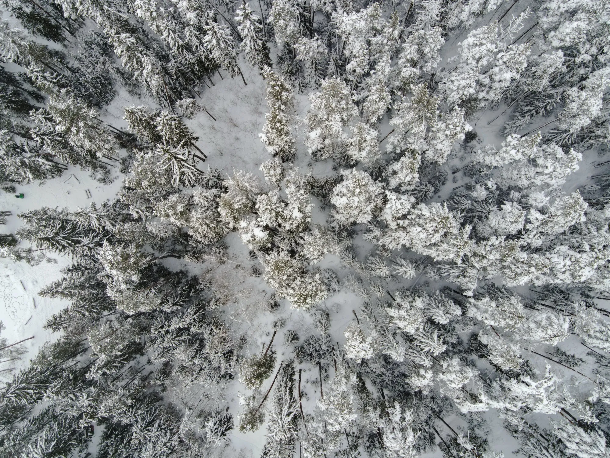 Landscape photograph — Earthly