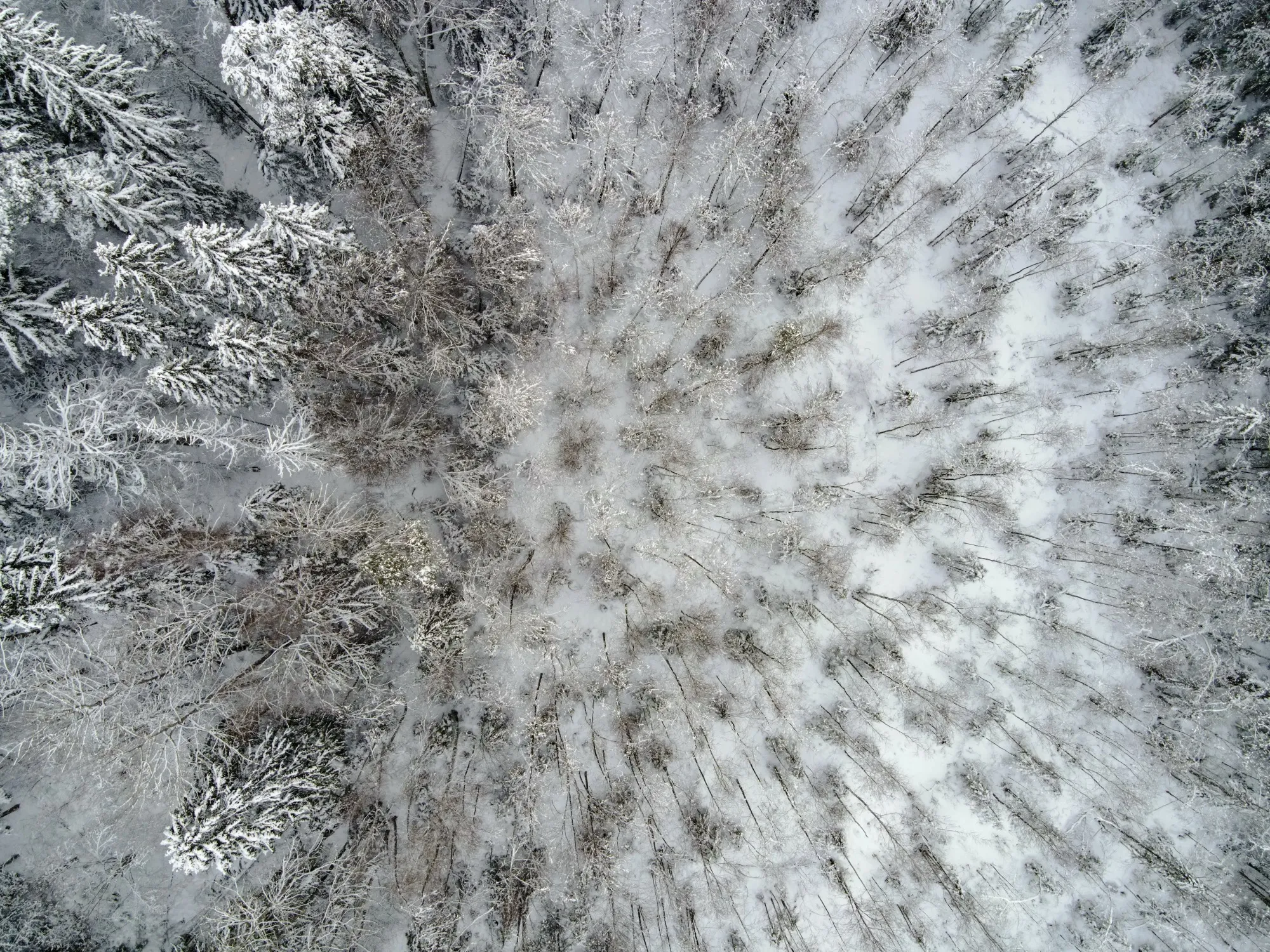 Landscape photograph — Earthly