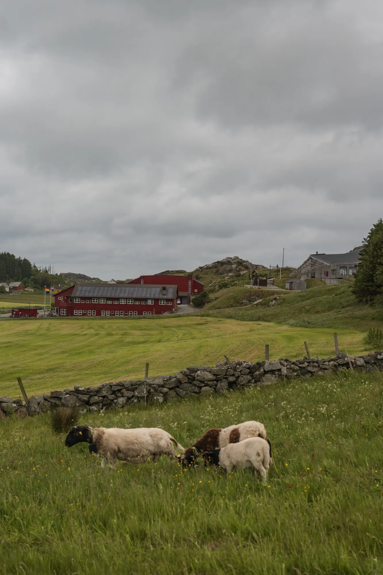 Aerial photograph — Norway — Earthly
