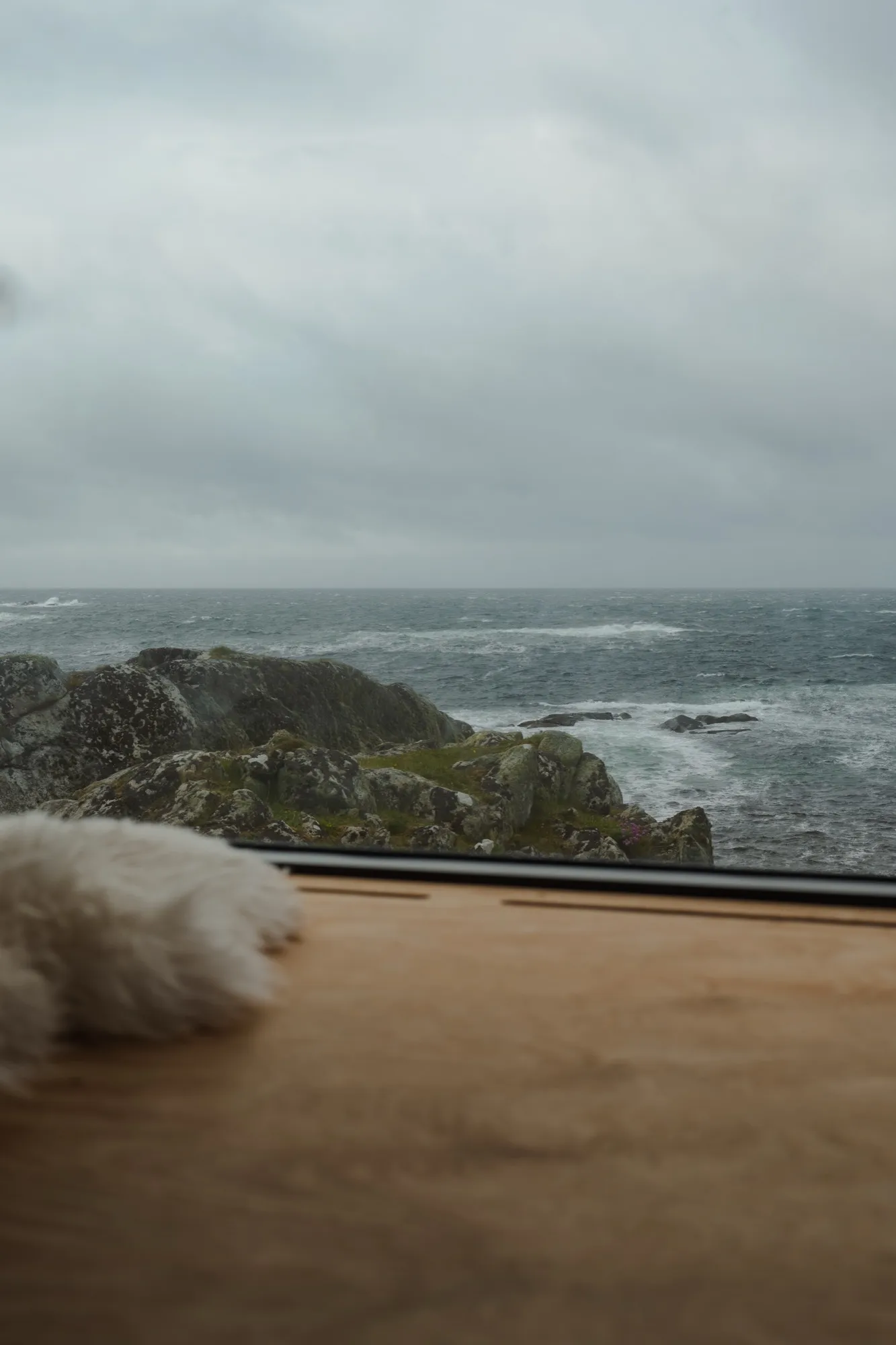 Aerial photograph — Norway — Earthly