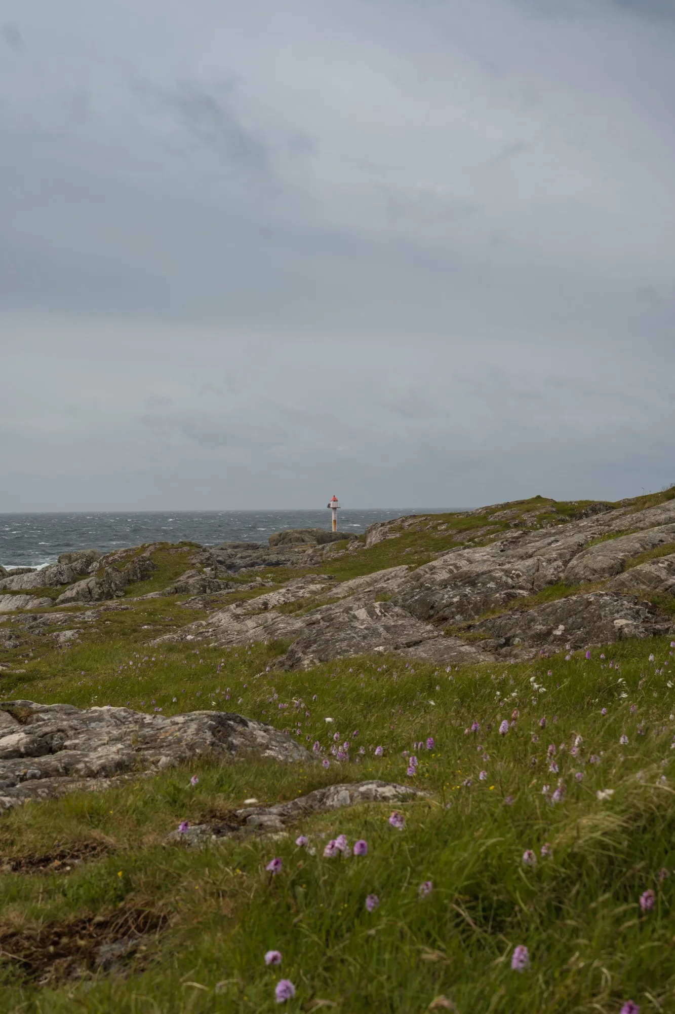 Aerial photograph — Norway — Earthly