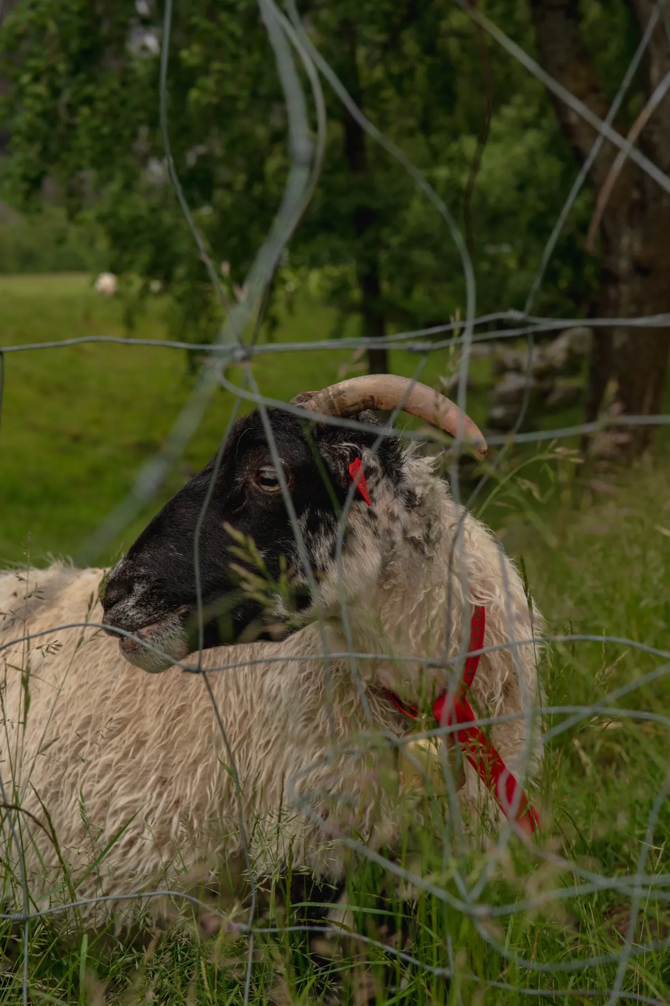 Aerial photograph — Norway — Earthly