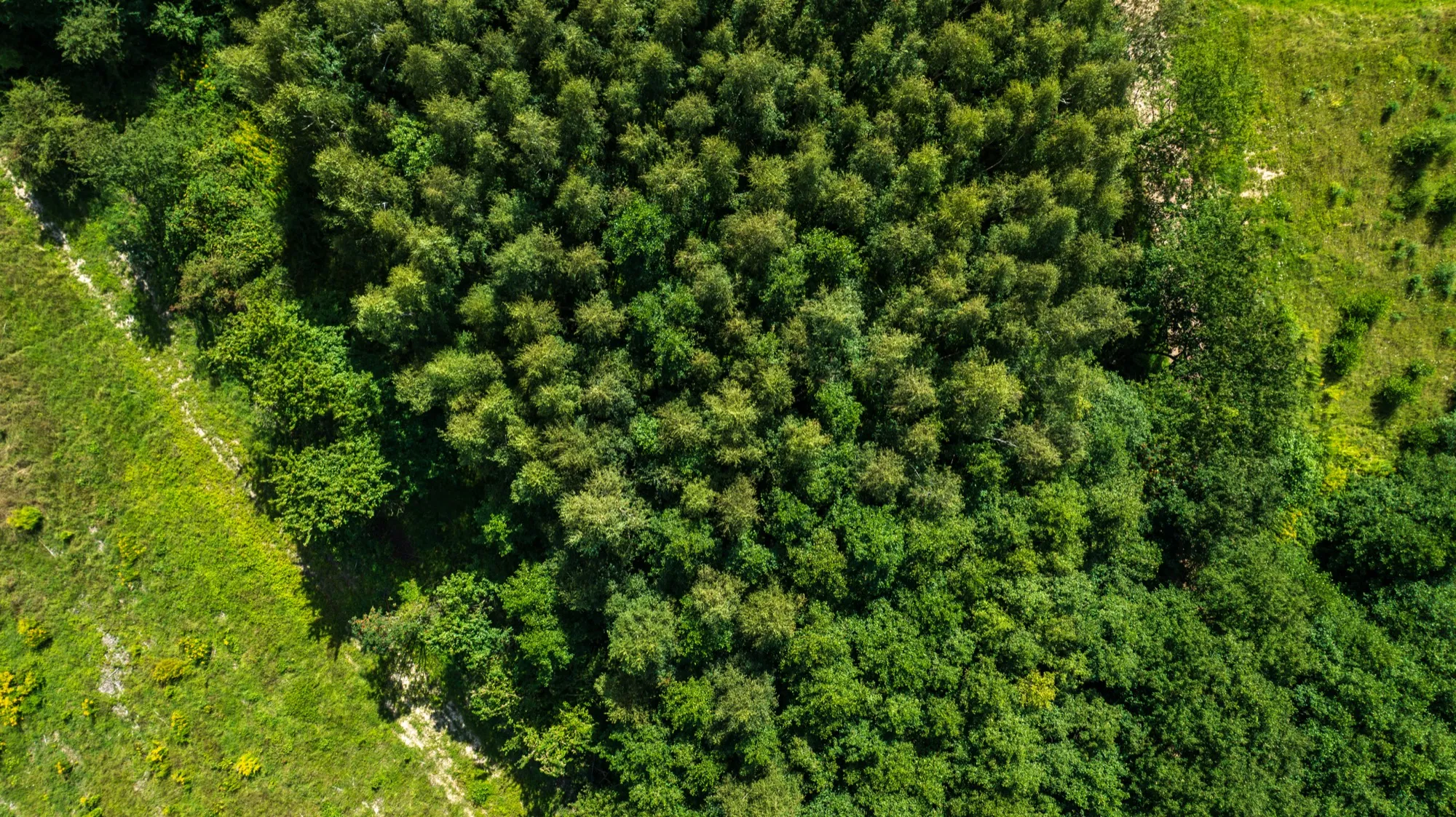 Aerial photograph — Poland — Earthly