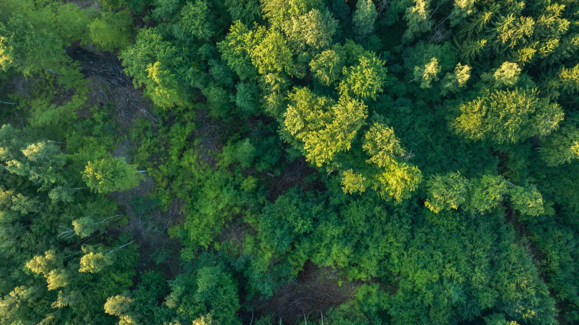 Aerial photograph — Poland — Earthly