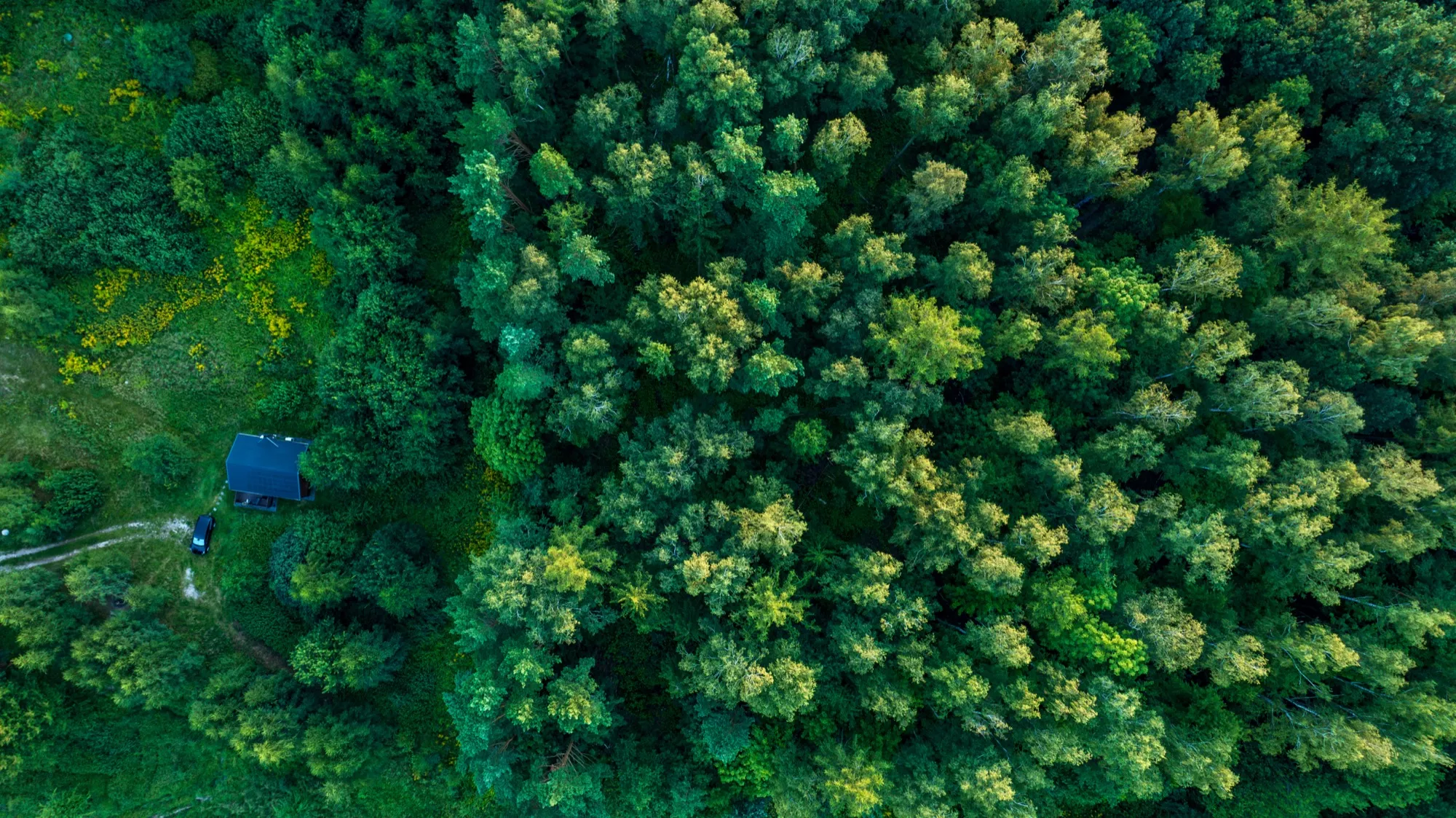 Aerial photograph — Poland — Earthly