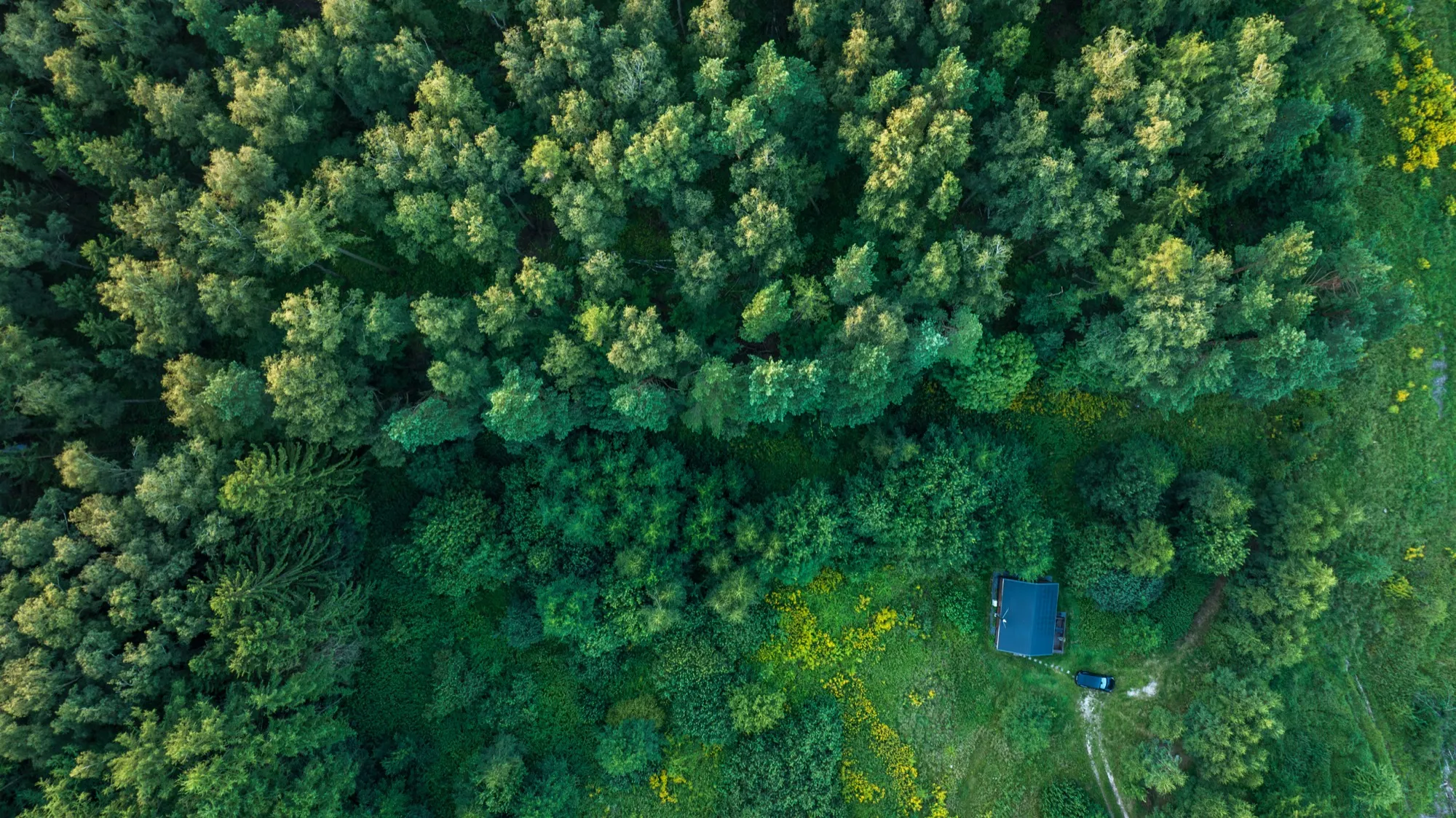 Aerial photograph — Poland — Earthly