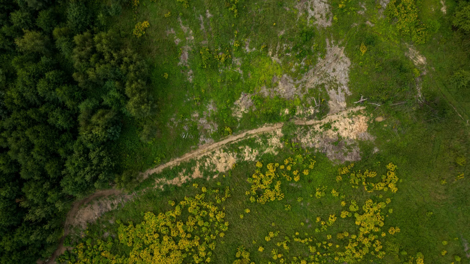 Aerial photograph — Poland — Earthly