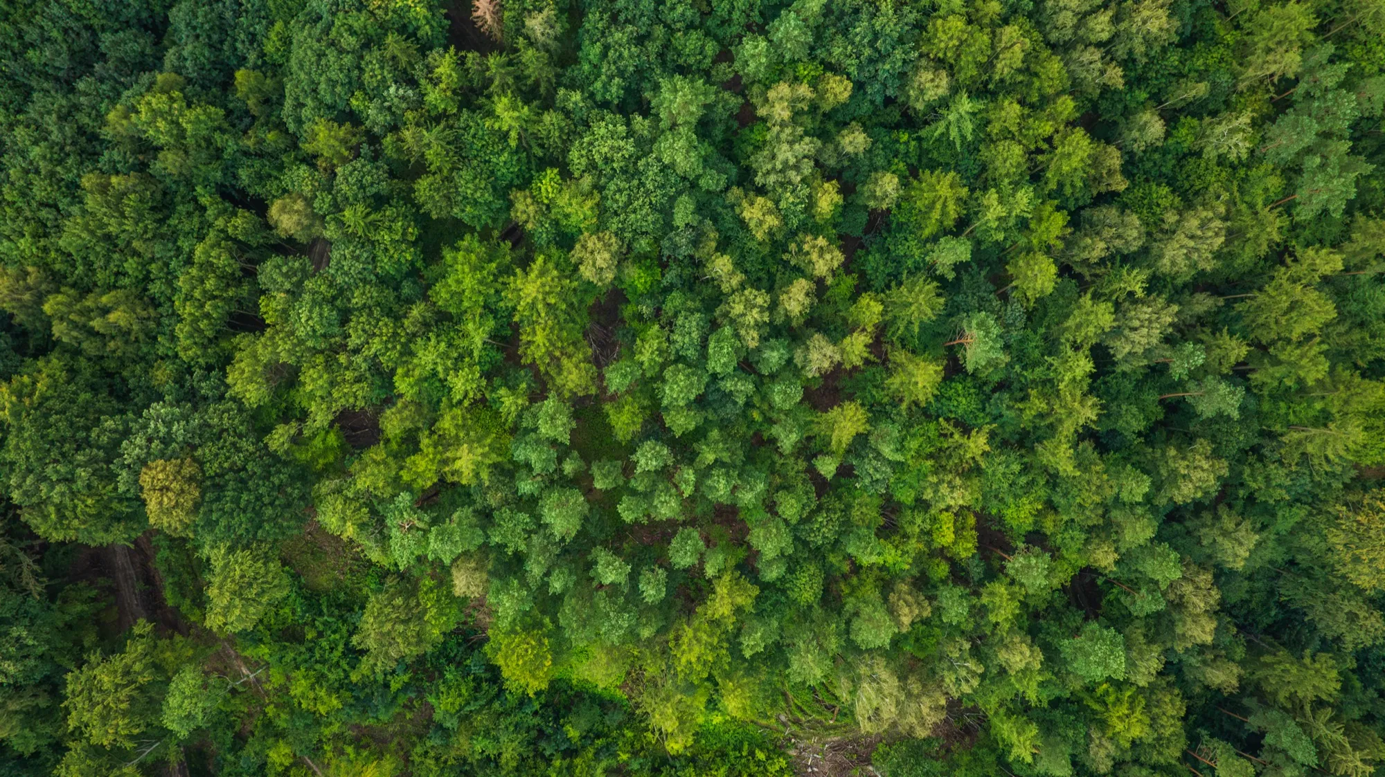 Aerial photograph — Poland — Earthly