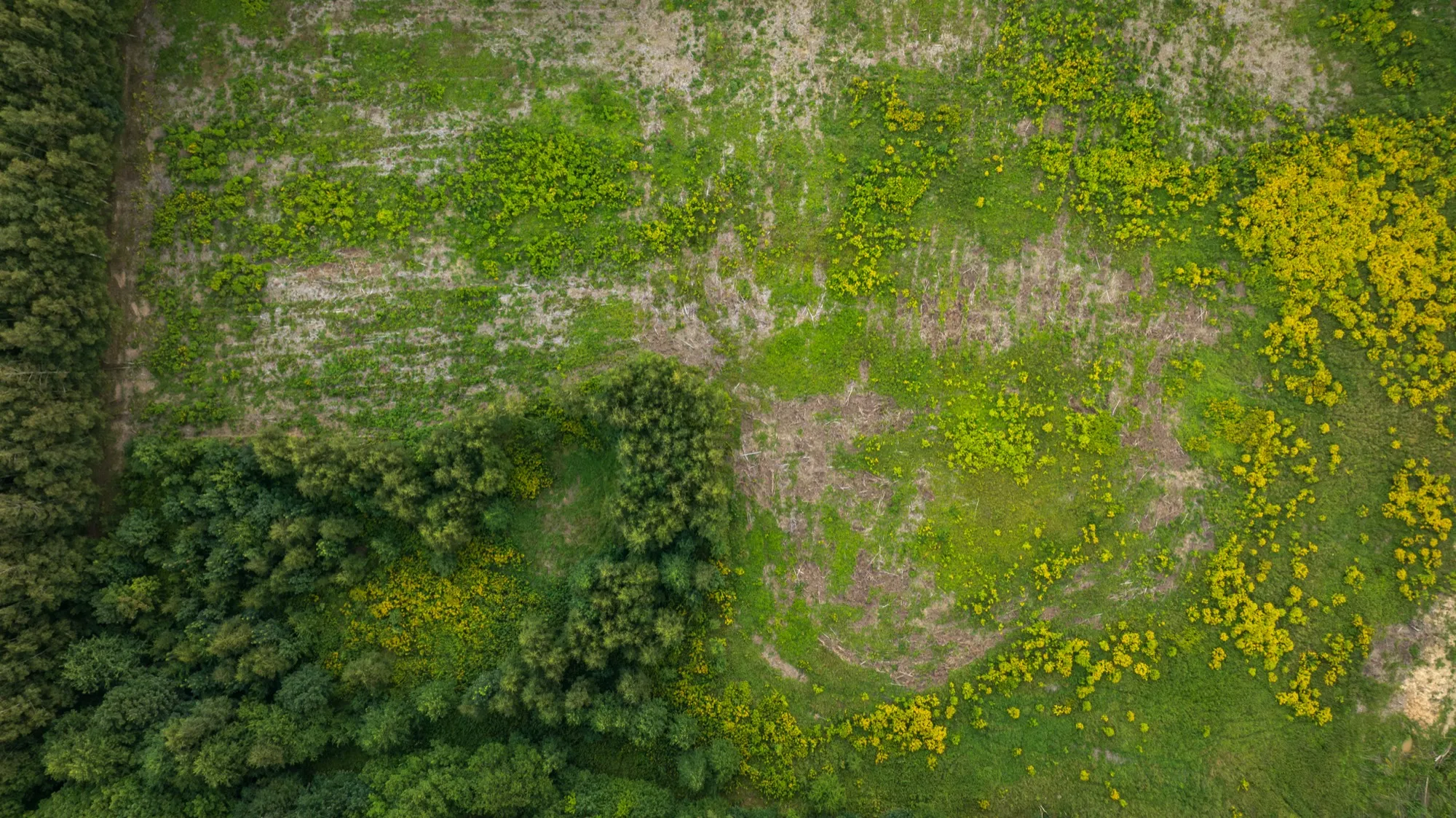 Aerial photograph — Poland — Earthly
