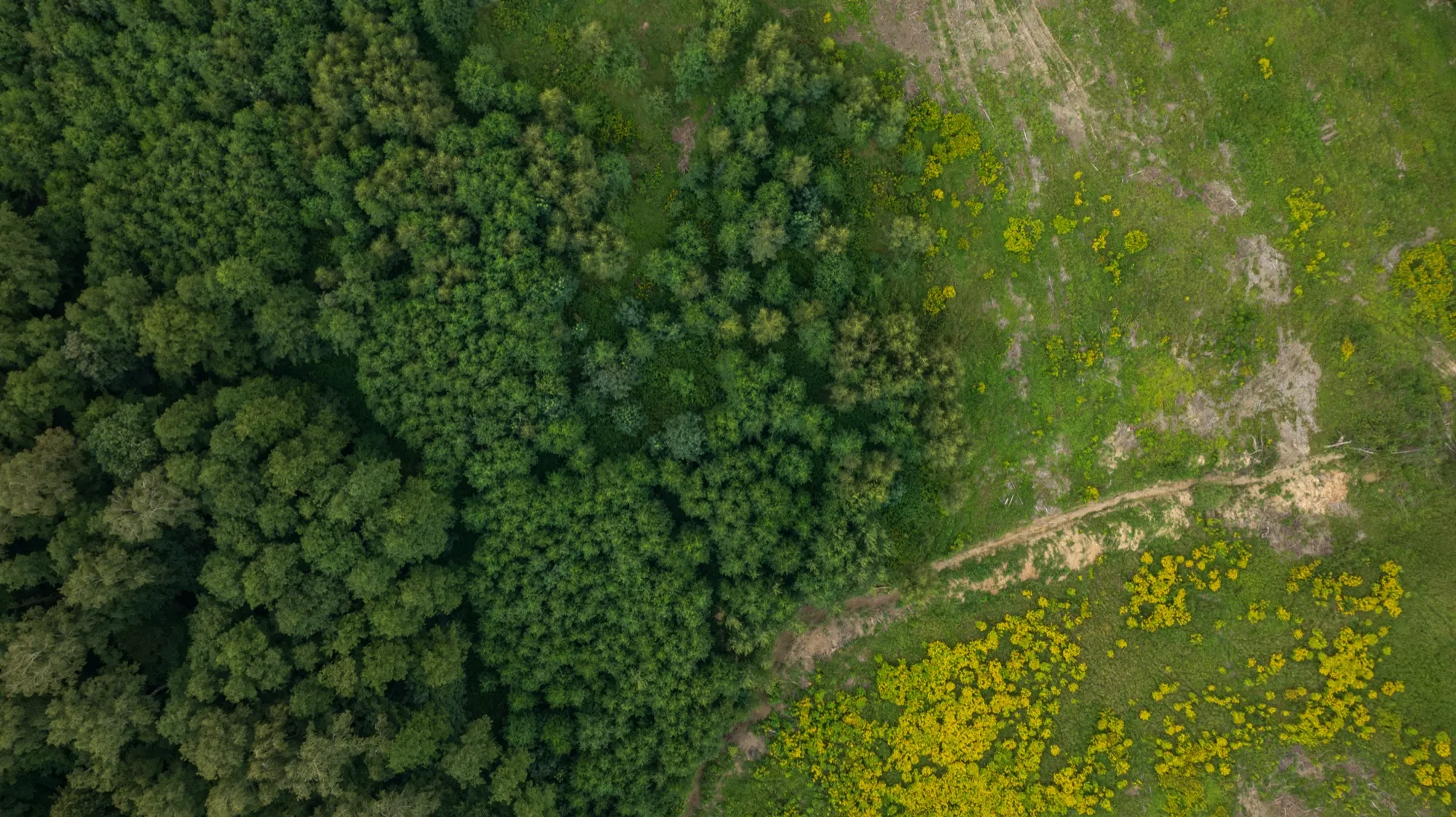 Aerial photograph — Poland — Earthly