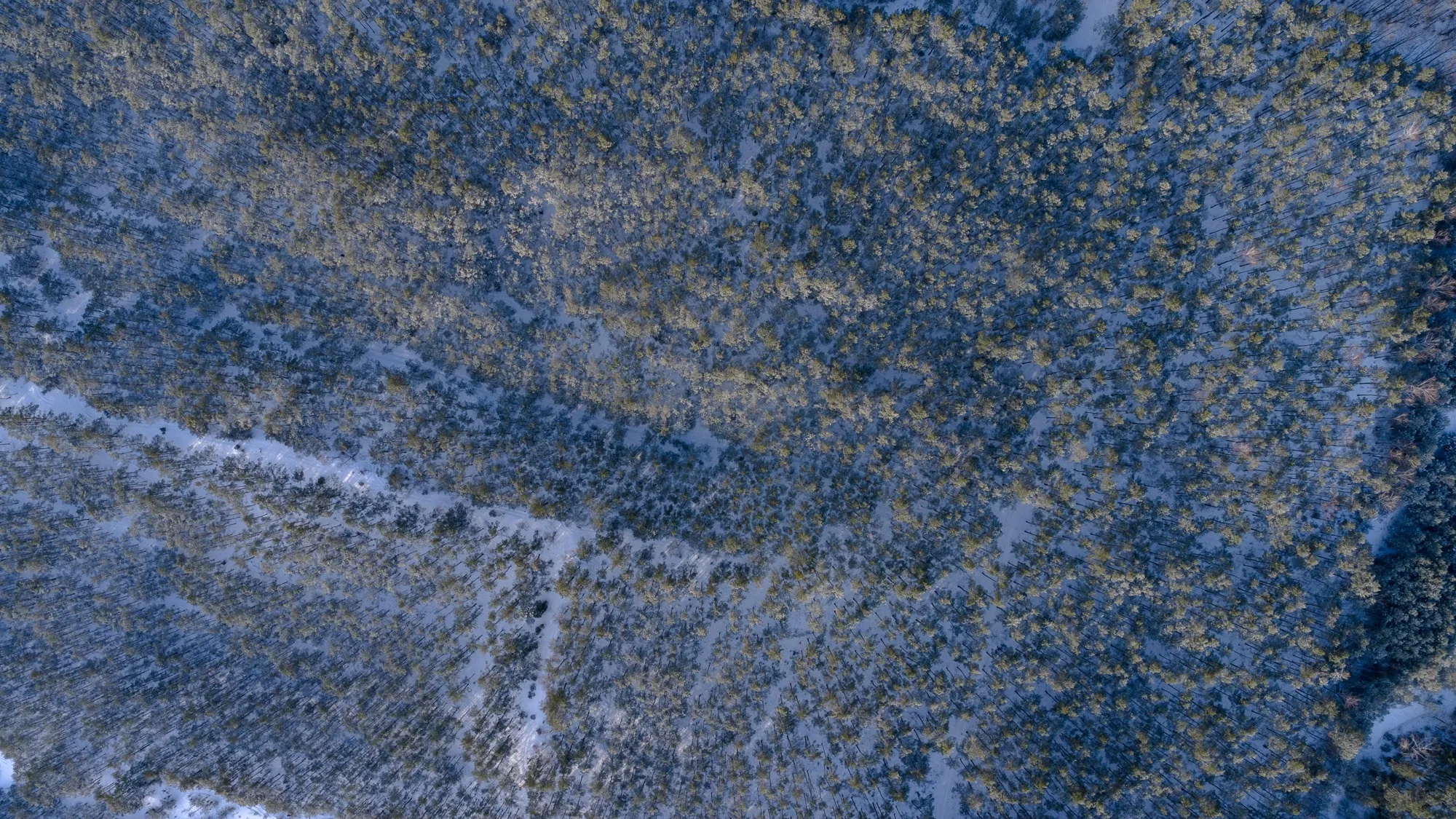 Aerial photograph — Poland — Earthly