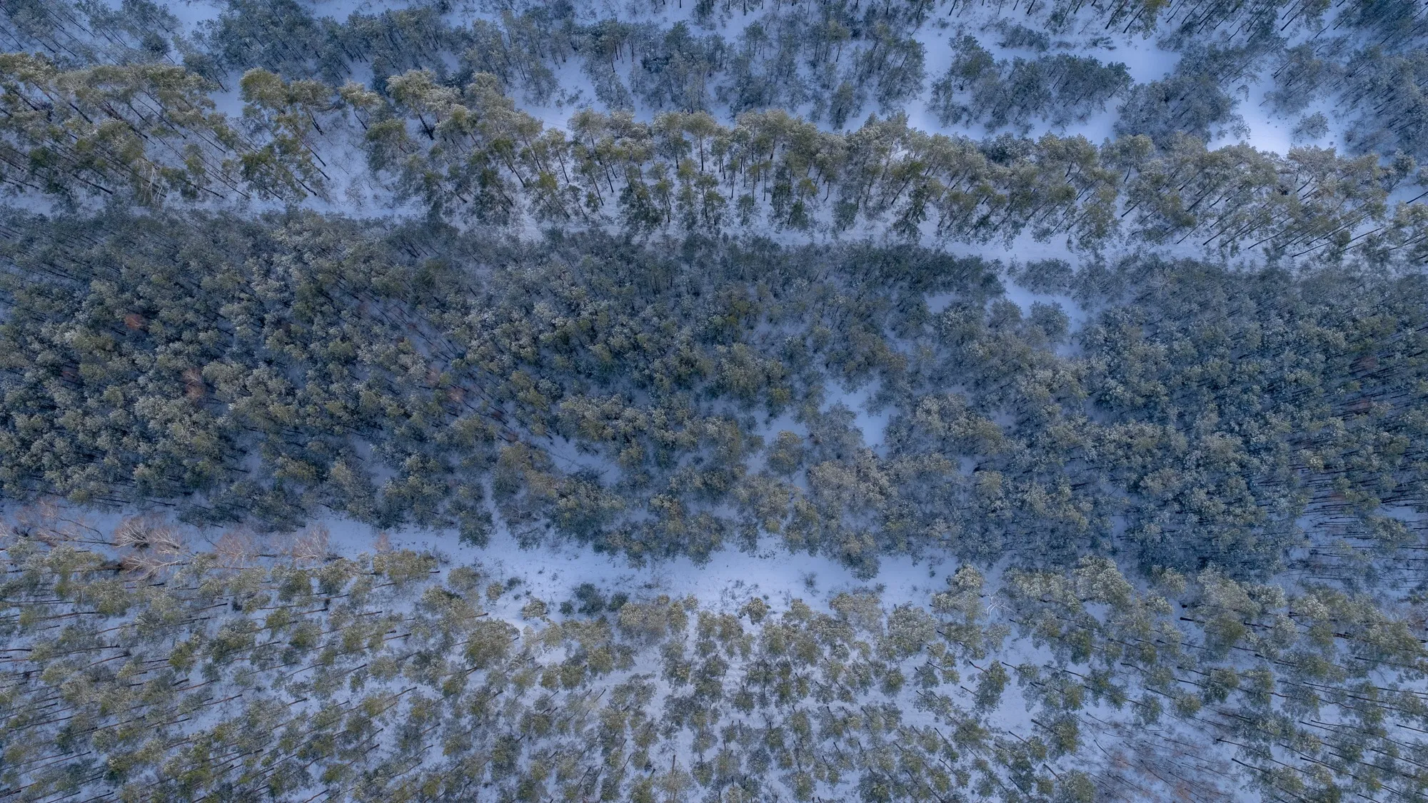 Aerial photograph — Poland — Earthly
