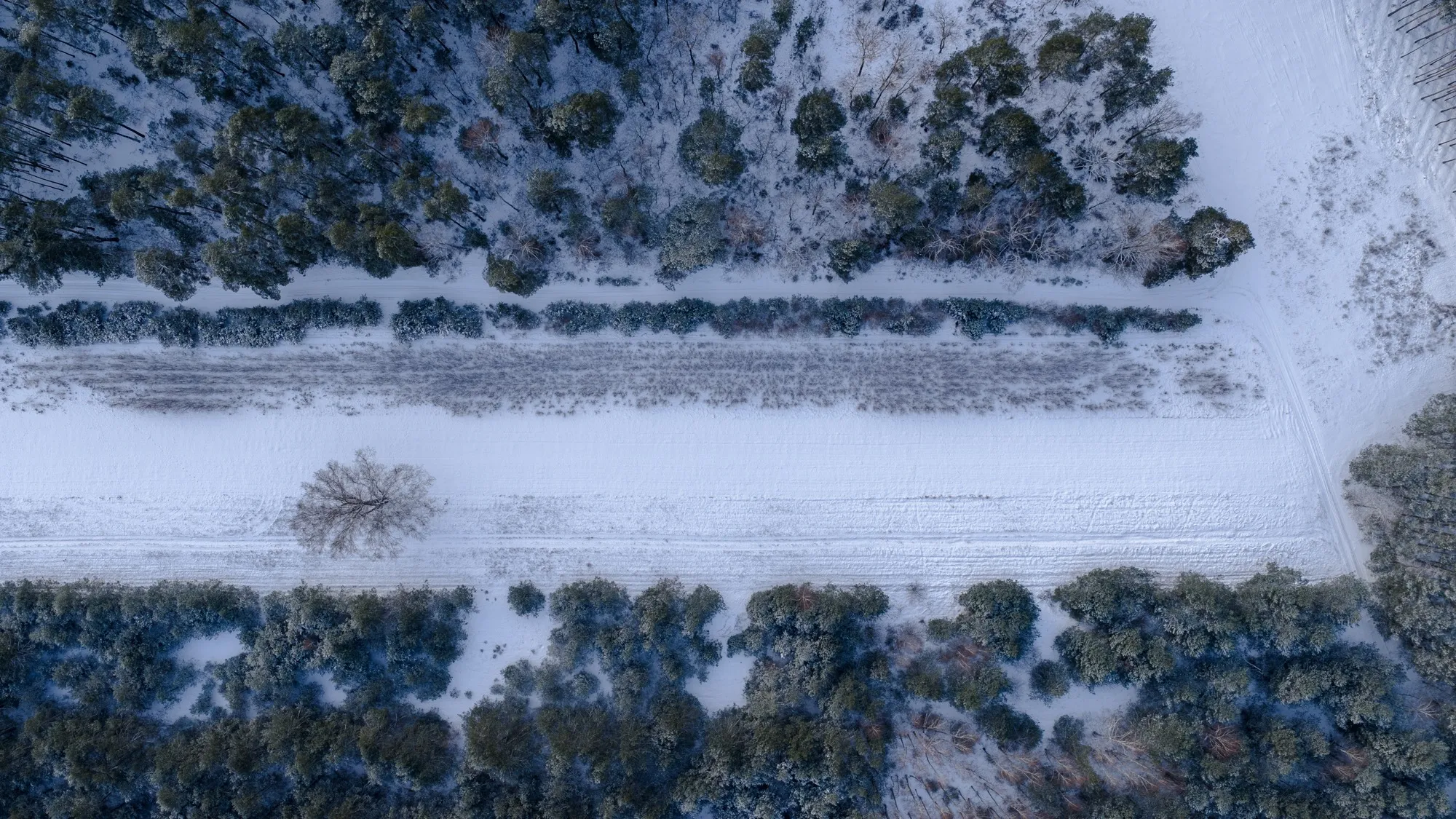 Aerial photograph — Poland — Earthly
