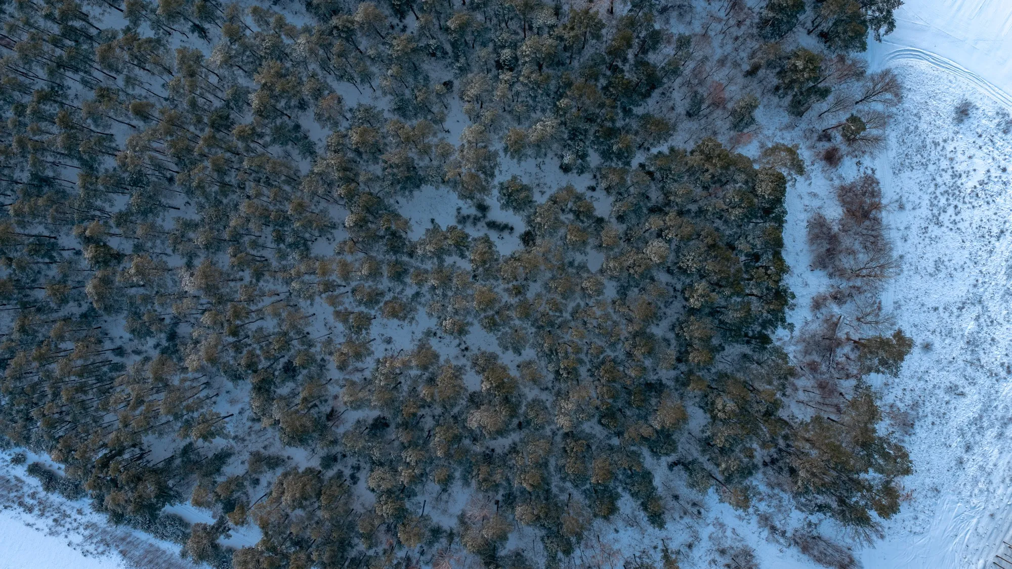 Aerial photograph — Poland — Earthly