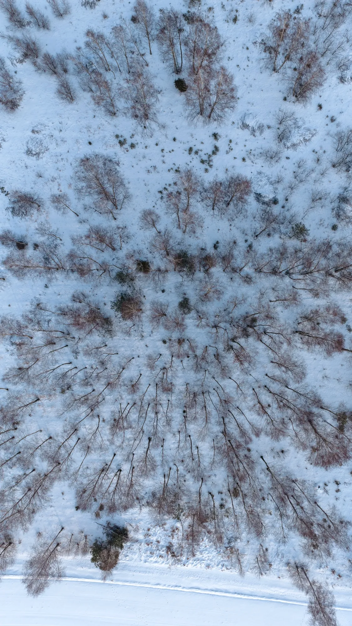 Aerial photograph — Poland — Earthly