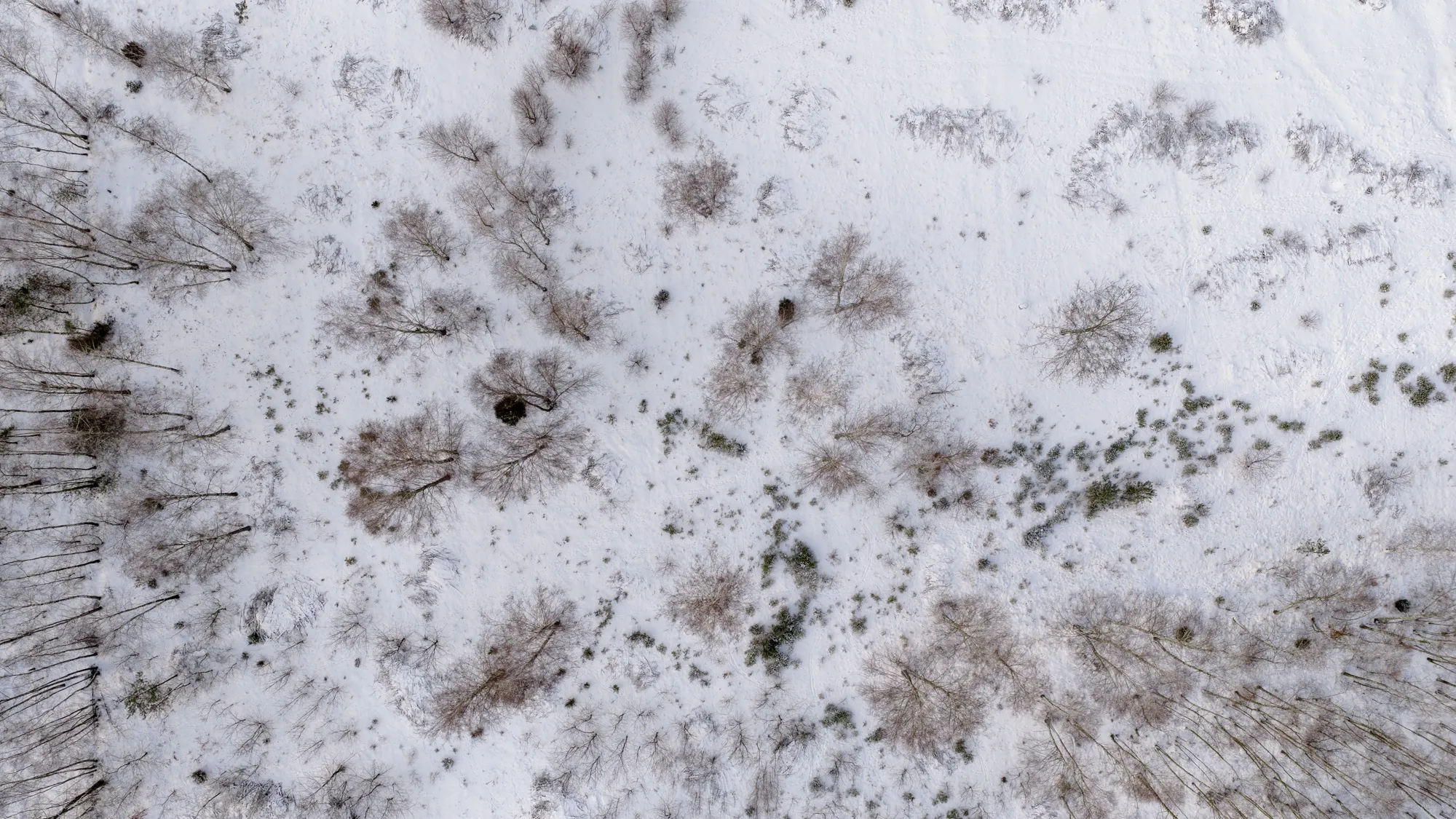 Aerial photograph — Poland — Earthly