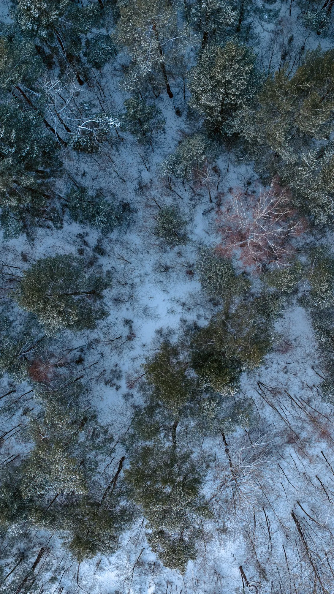 Aerial photograph — Poland — Earthly