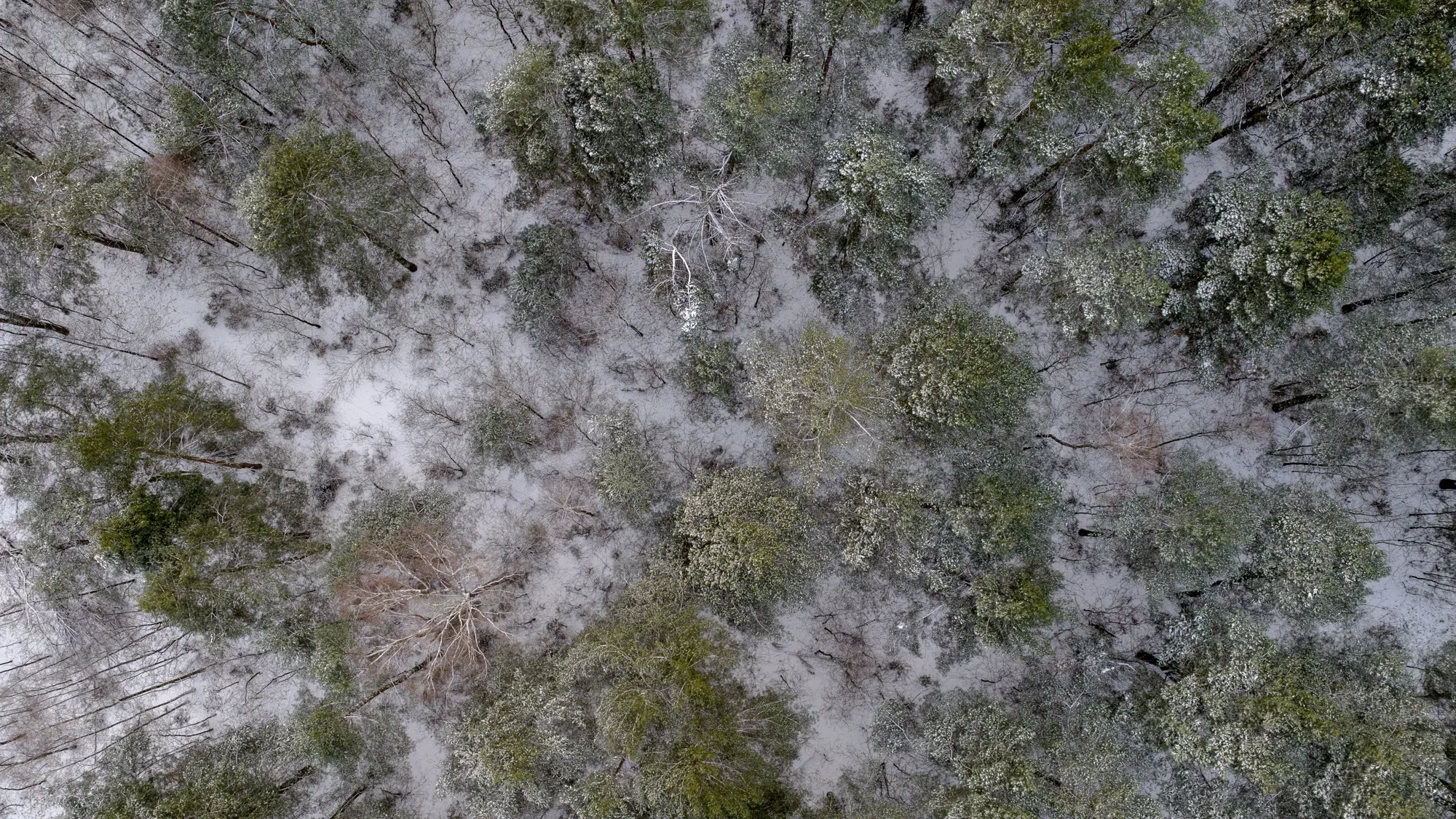 Aerial photograph — Poland — Earthly