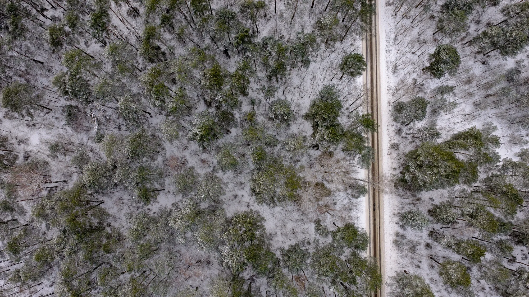 Aerial photograph — Poland — Earthly