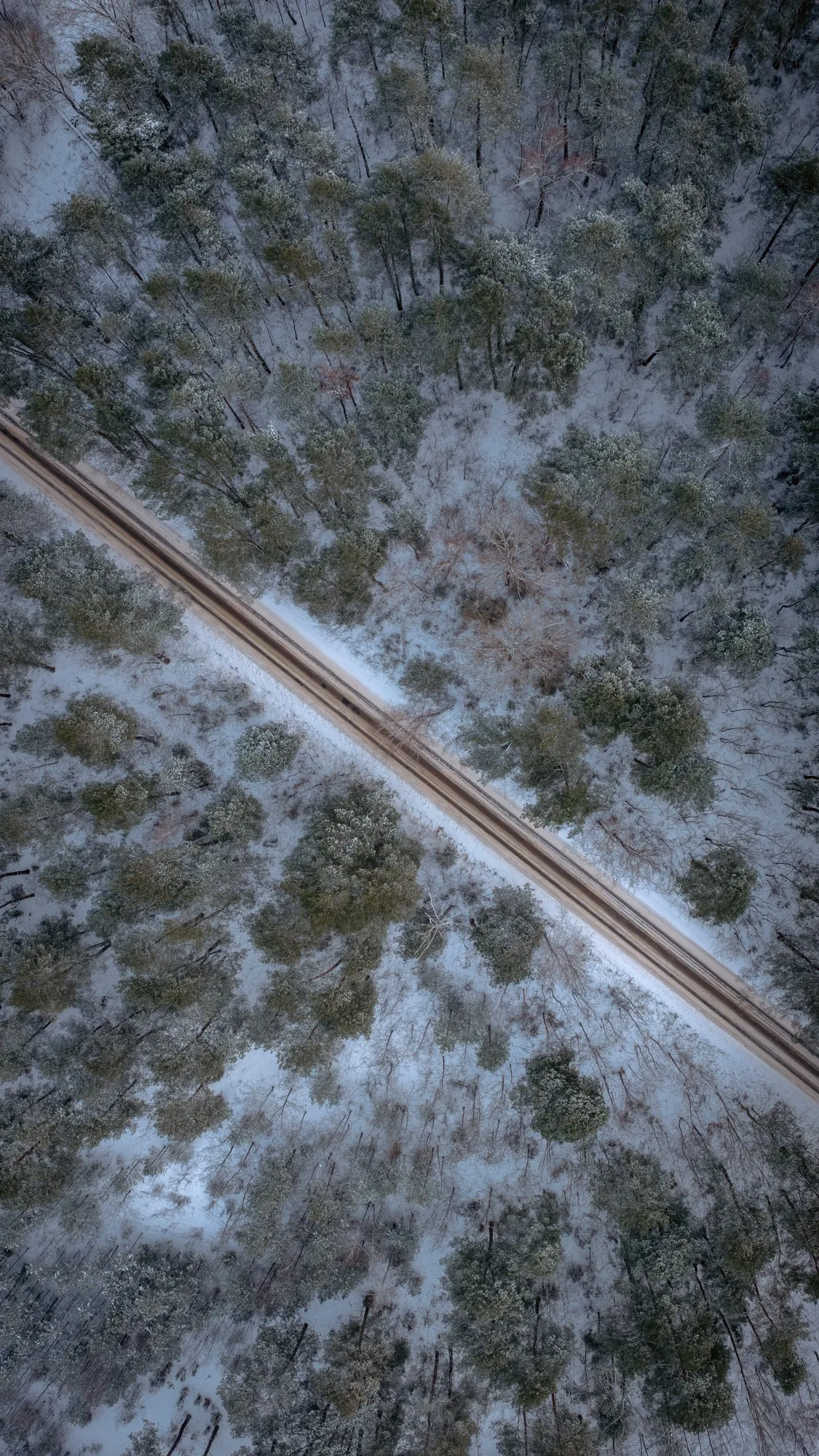 Aerial photograph — Poland — Earthly
