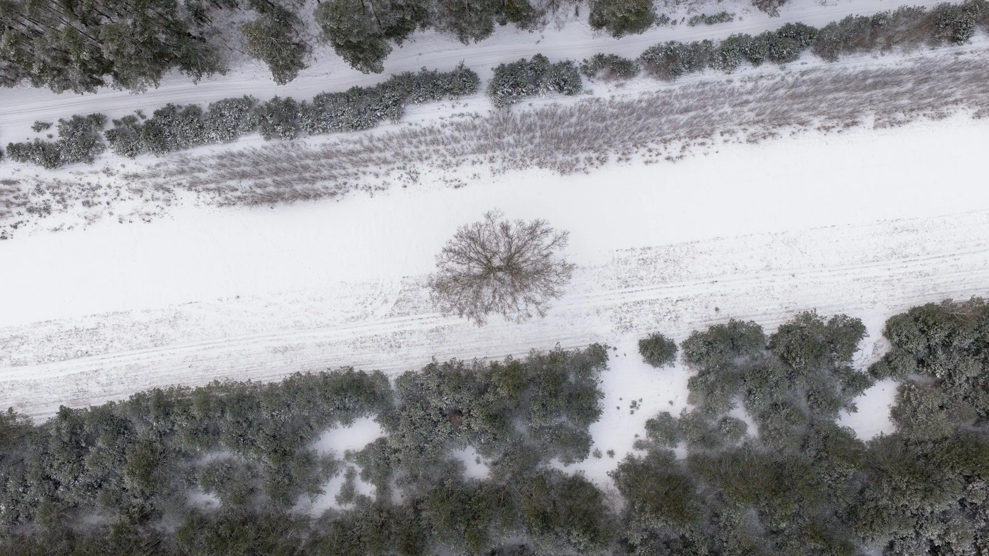 Aerial photograph — Poland — Earthly