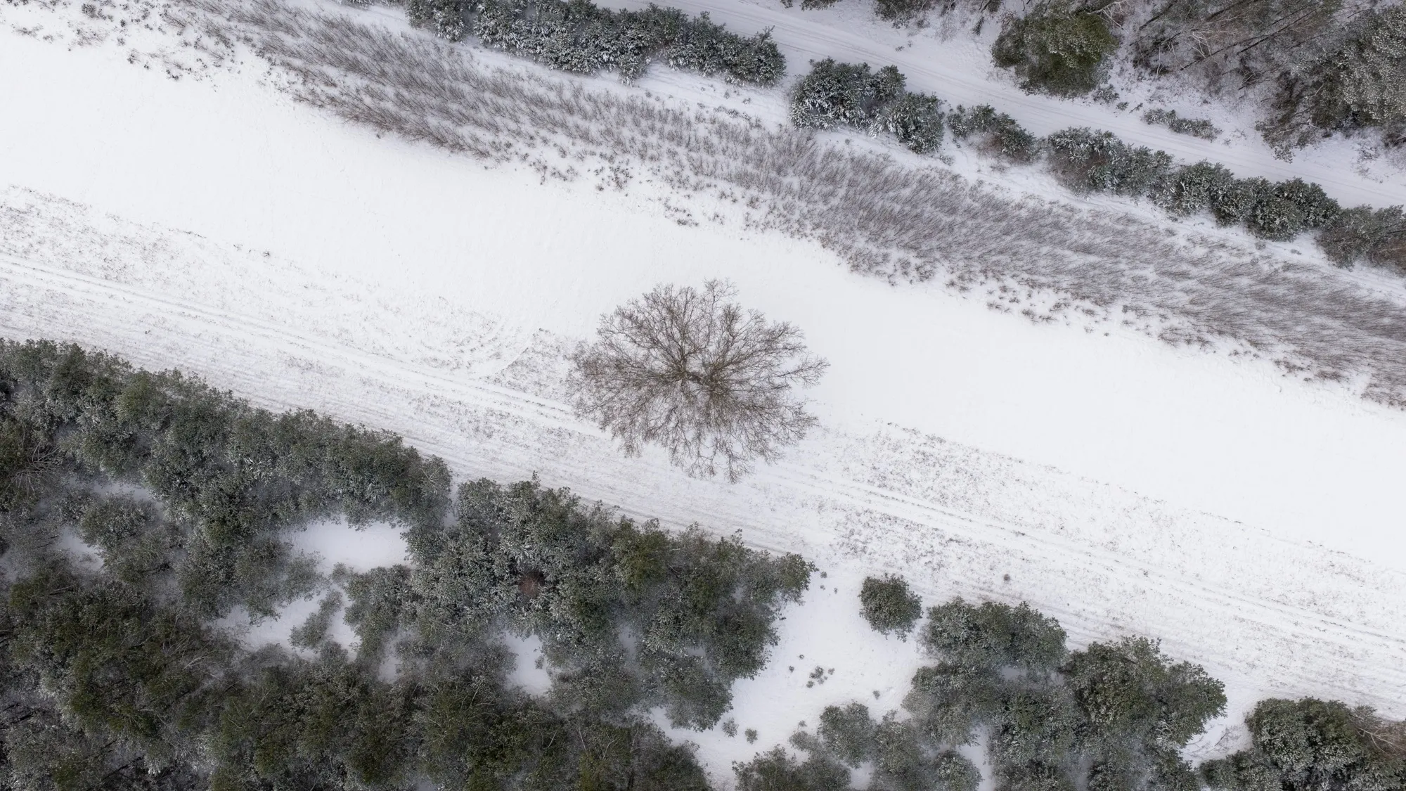 Aerial photograph — Poland — Earthly