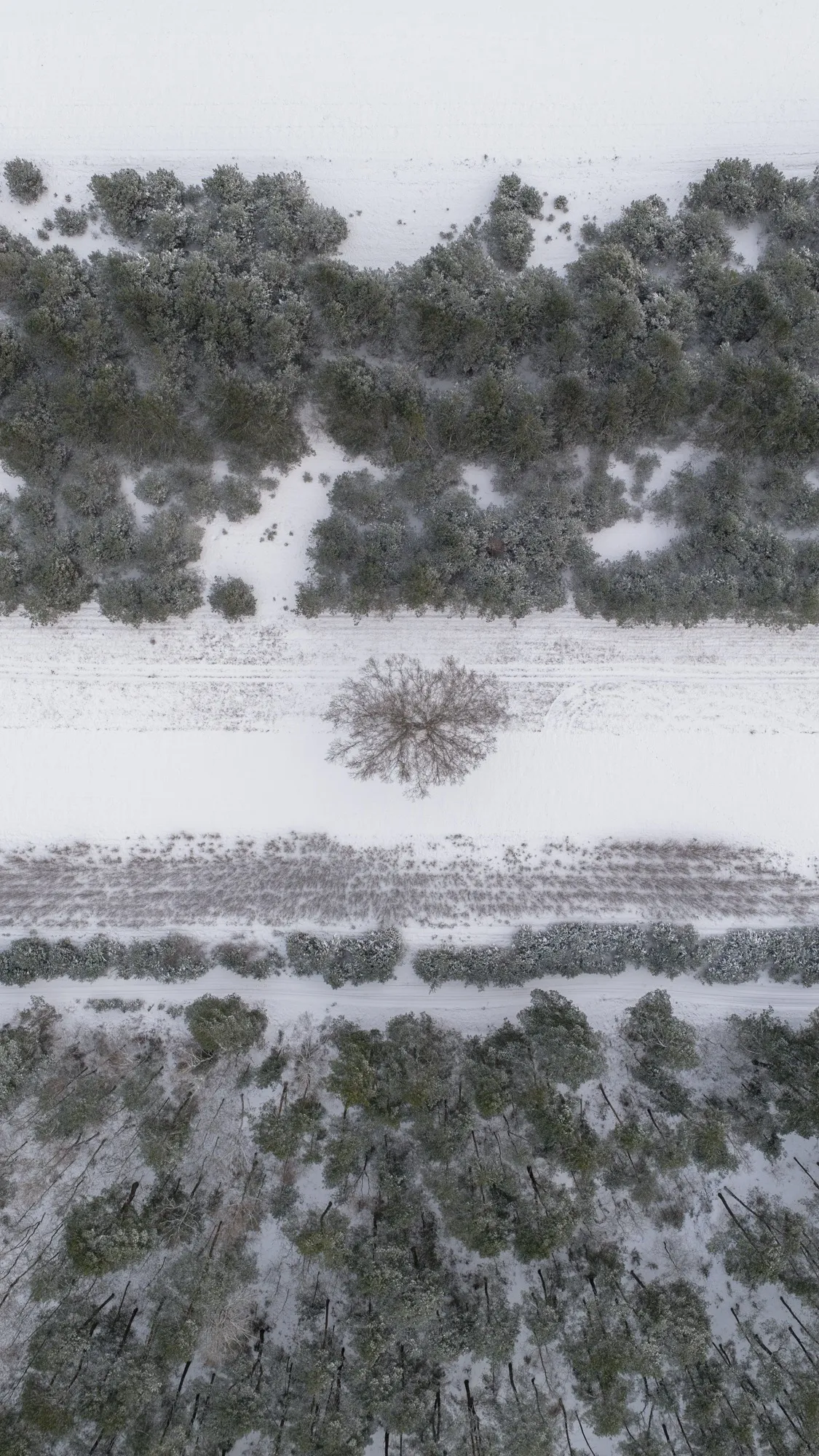 Aerial photograph — Poland — Earthly