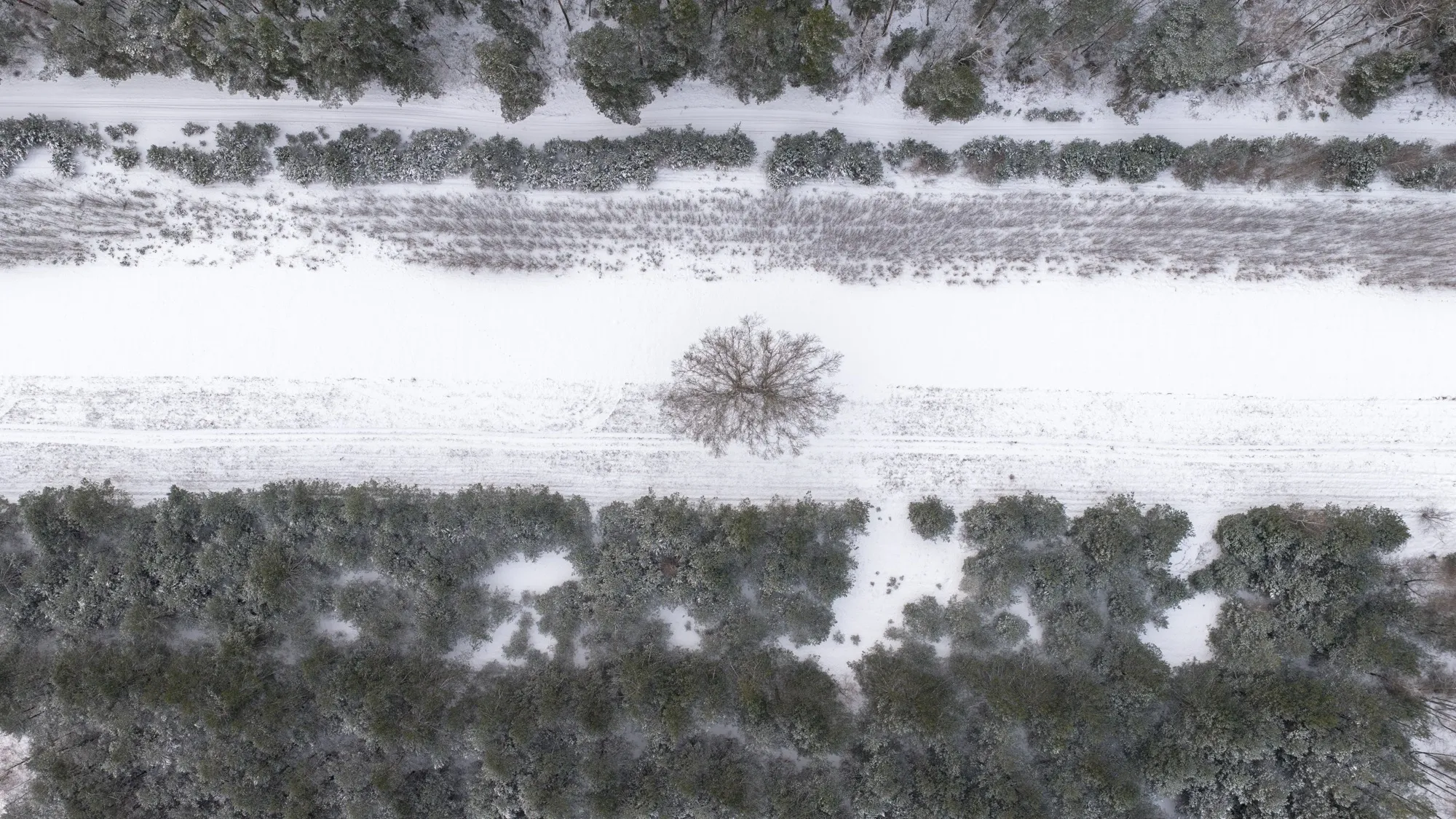 Aerial photograph — Poland — Earthly