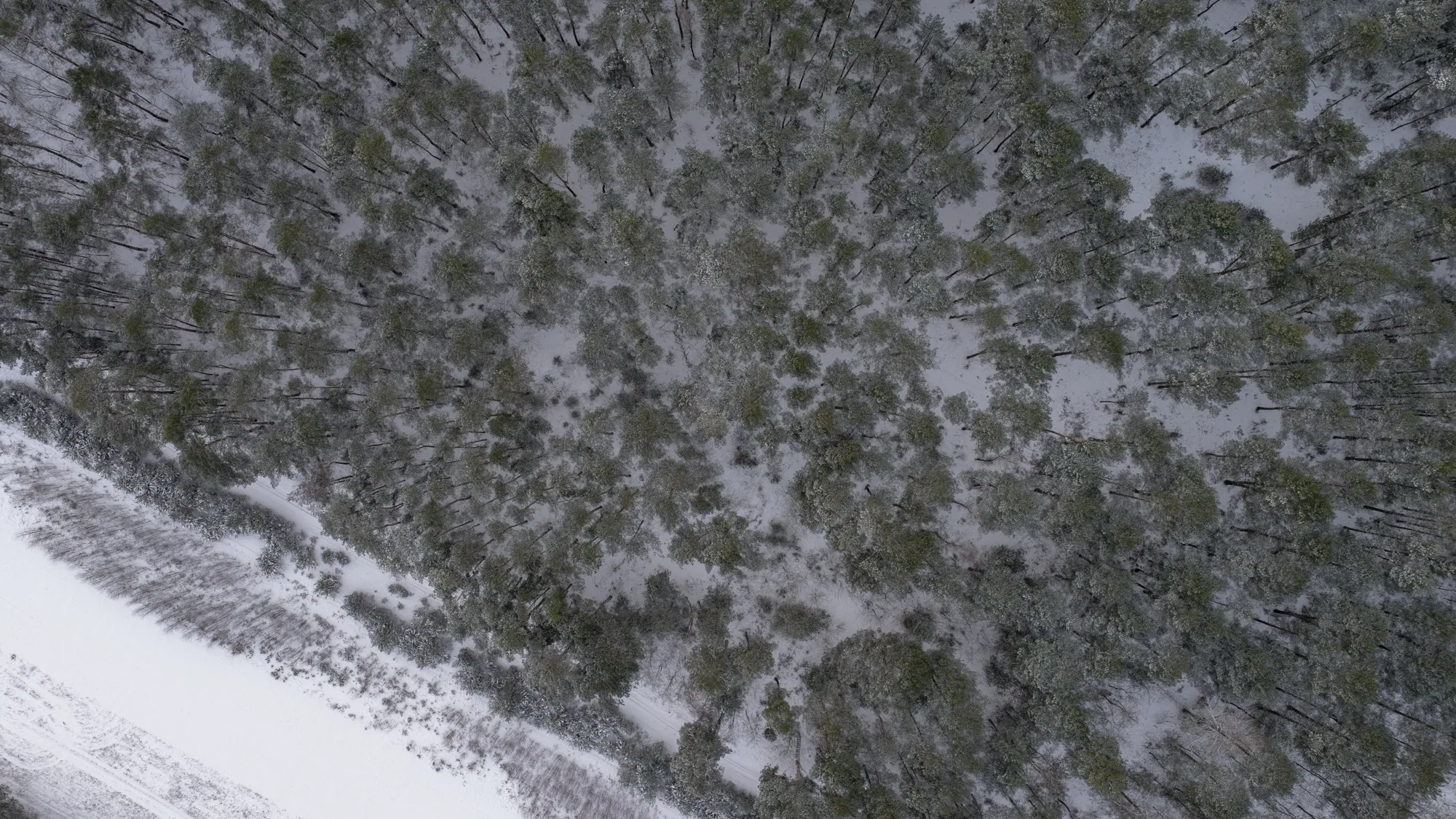 Aerial photograph — Poland — Earthly