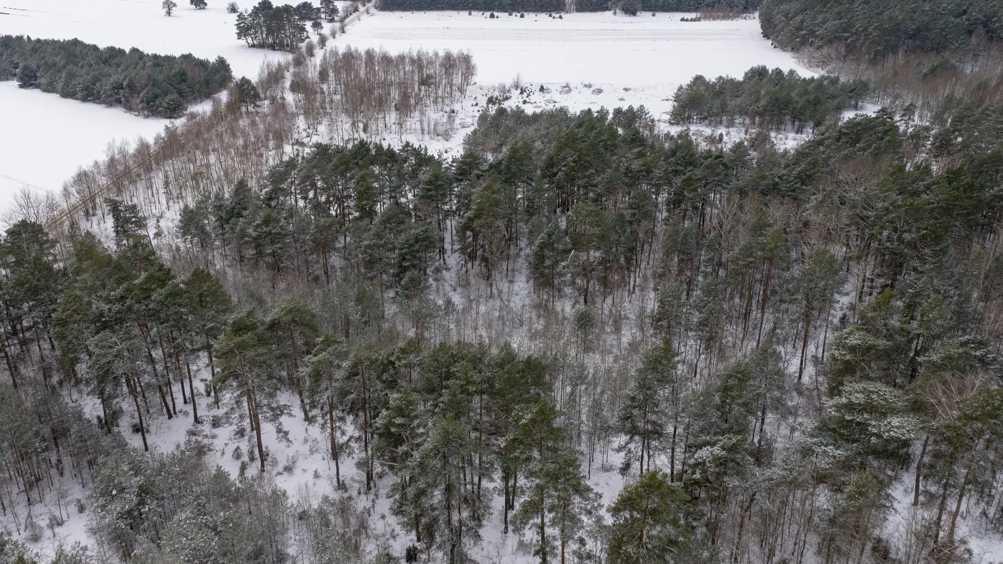 Aerial photograph — Poland — Earthly