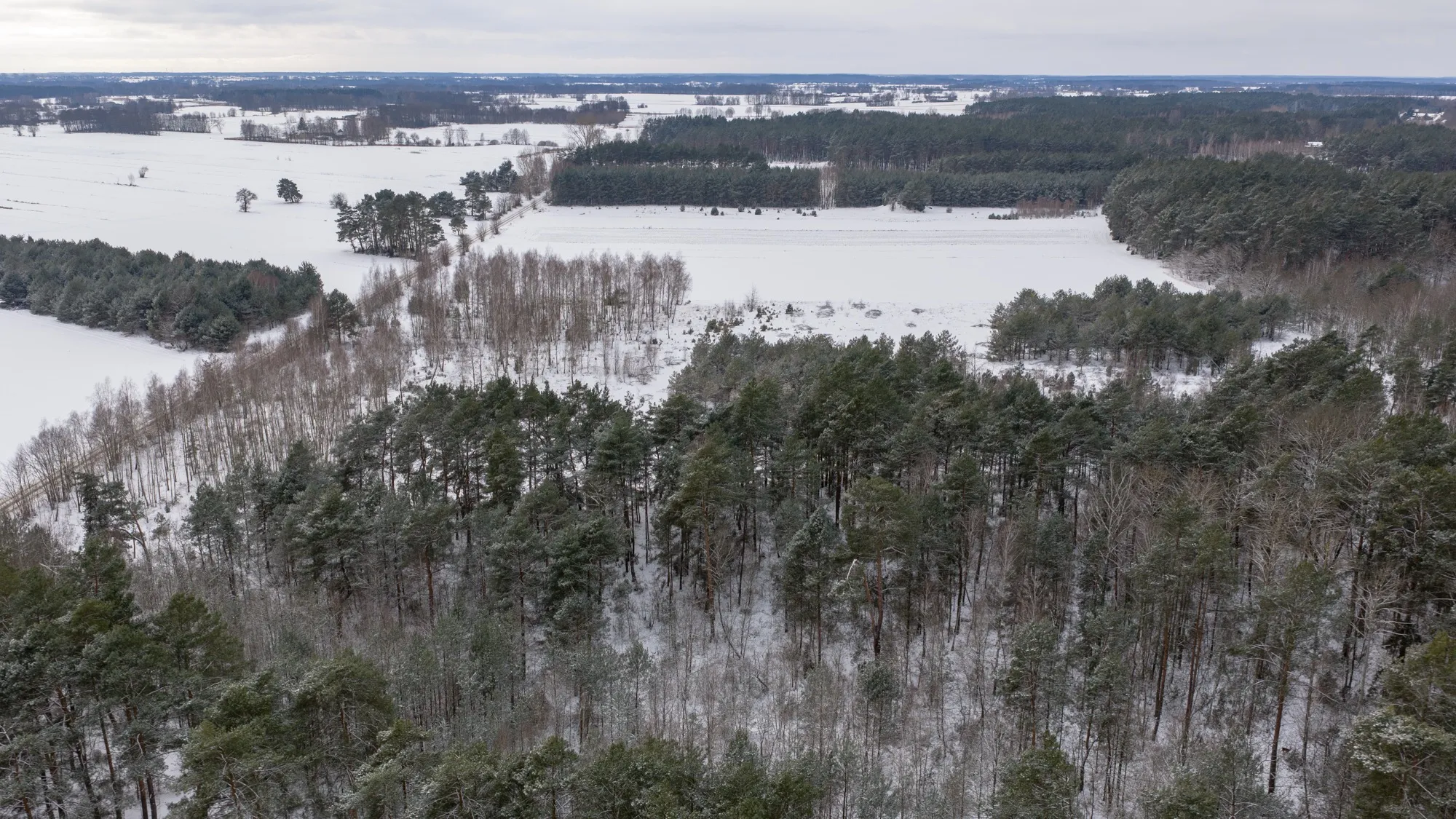 Aerial photograph — Poland — Earthly