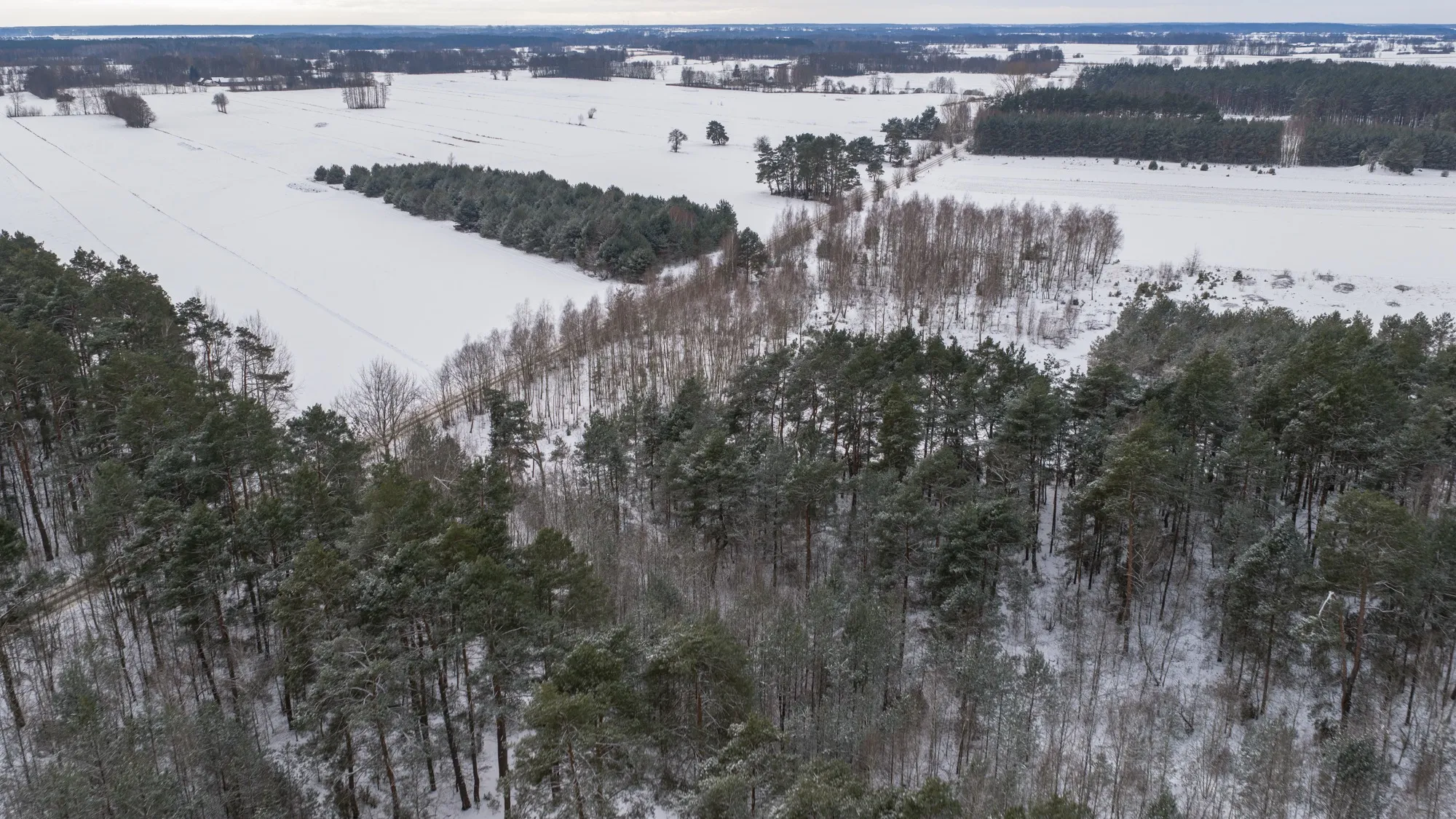 Aerial photograph — Poland — Earthly